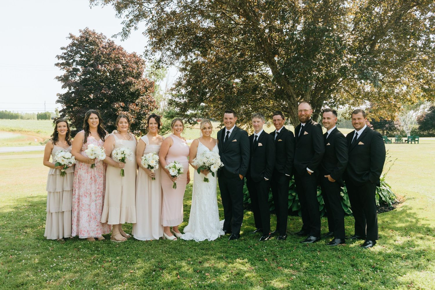 Wedding party in pink dresses and black suits poses together on a sunny lawn.