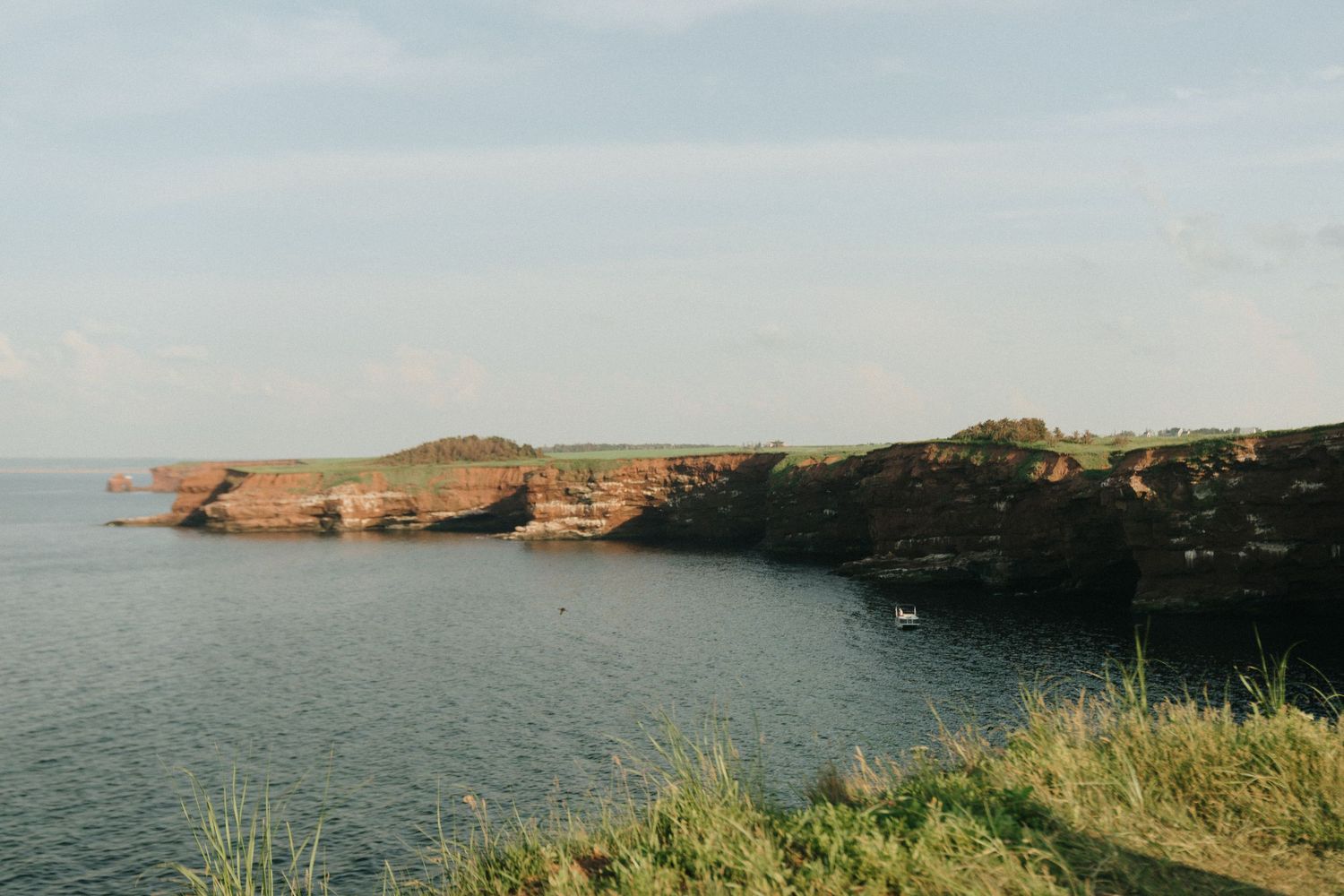 Panoramic coastal landscape with rugged cliffs, green vegetation and calm blue ocean waters stretching to the horizon.