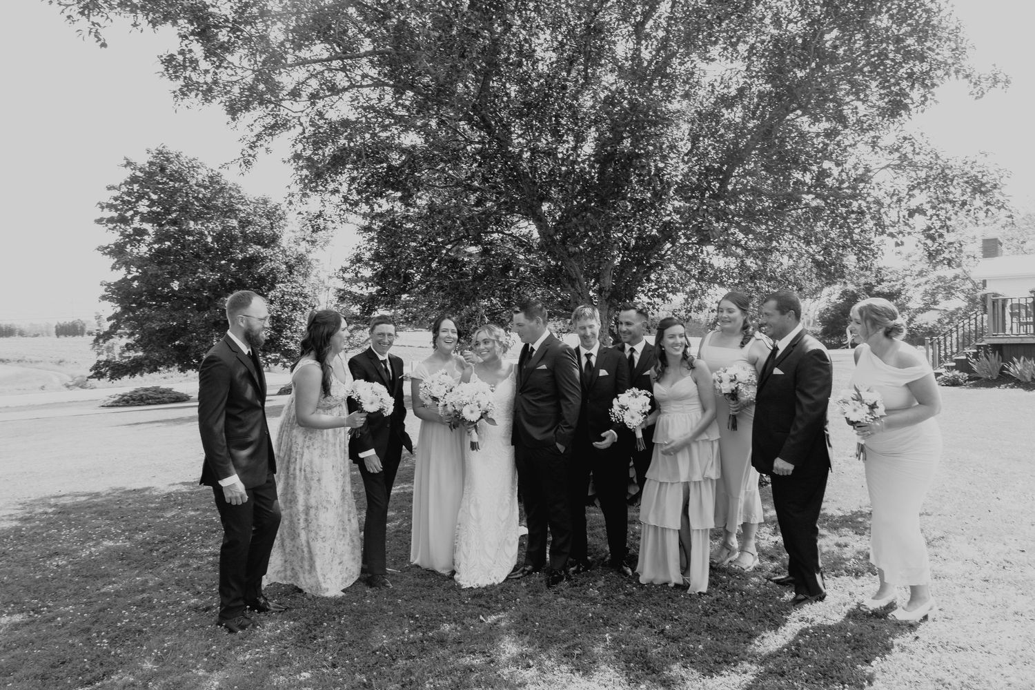Black and white wedding party group photo under a large tree in natural lighting.