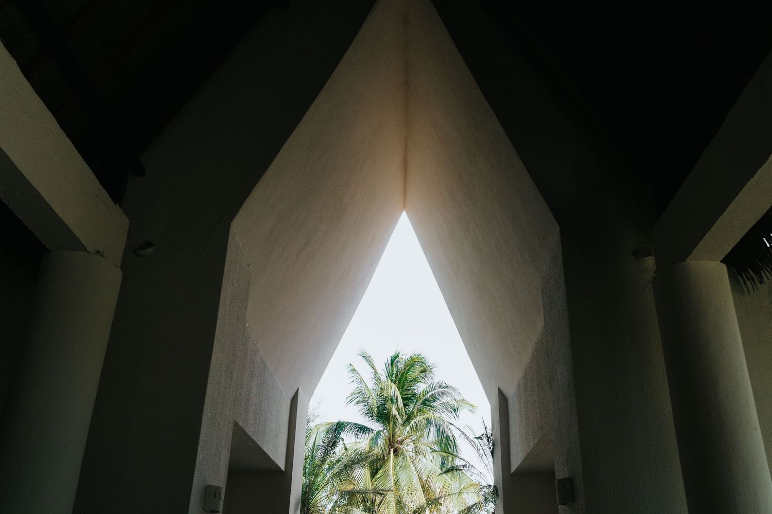 Architectural arched ceiling frames a tropical palm tree view in a dramatic geometric corridor.