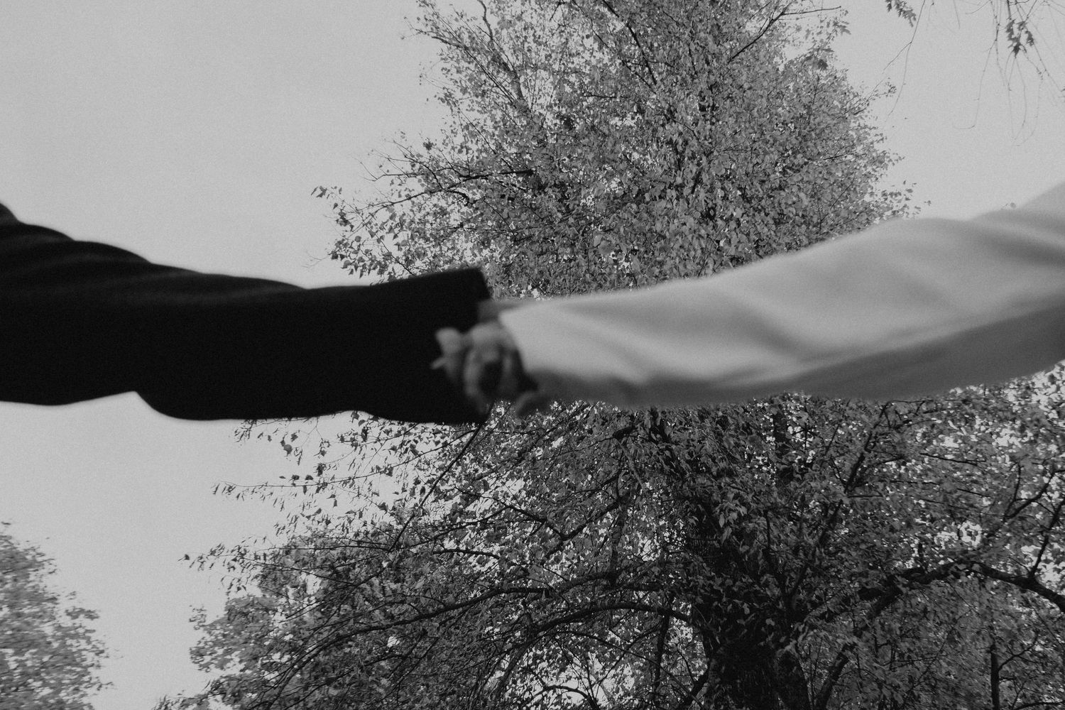 Two hands reaching towards each other against a backdrop of tree branches in black and white.