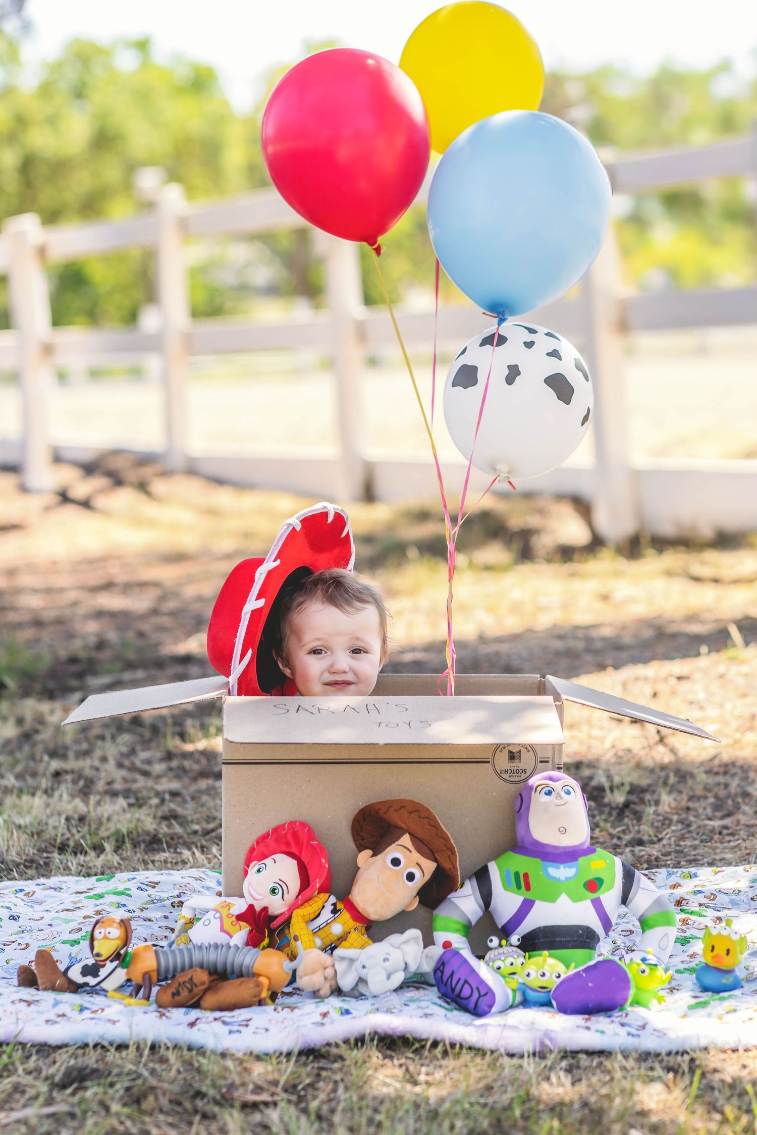 Baby in a cardboard box surrounded by Toy Story plush toys and colorful balloons outdoors.