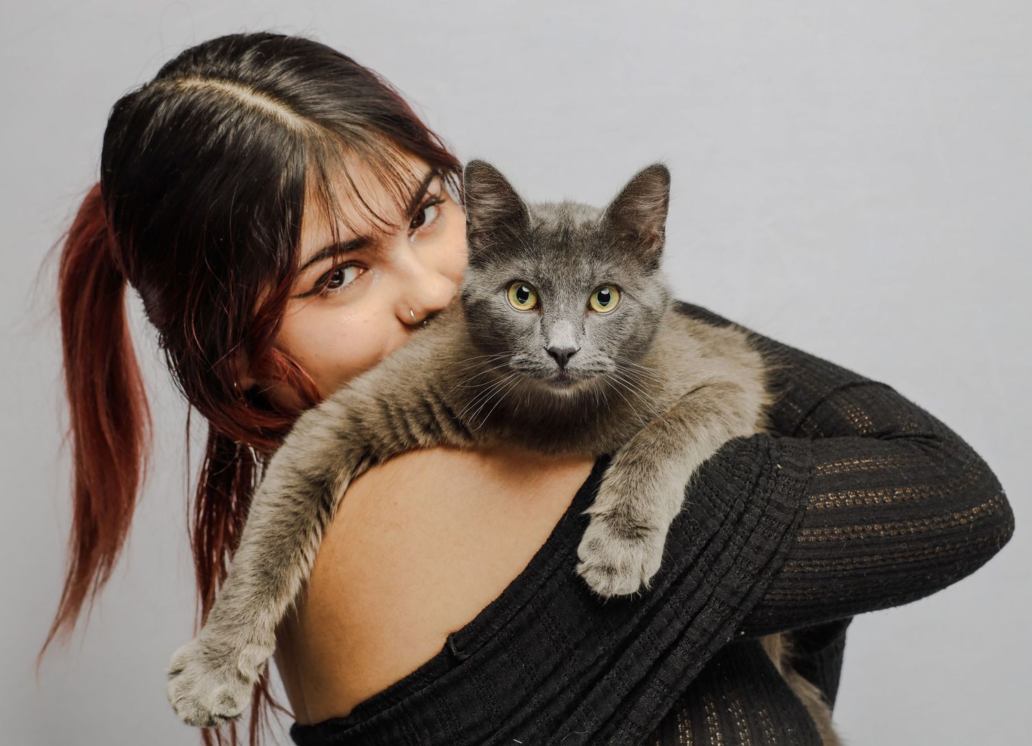 A Russian blue cat rests on someone's shoulder while wearing a black sweater.