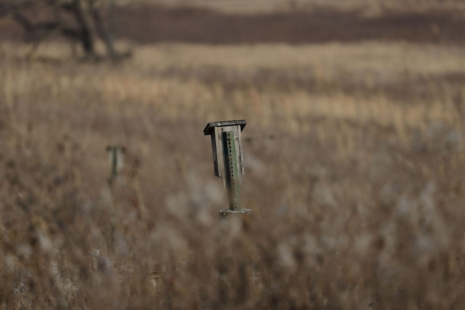 Weather monitoring station equipment in a misty field during golden hour.