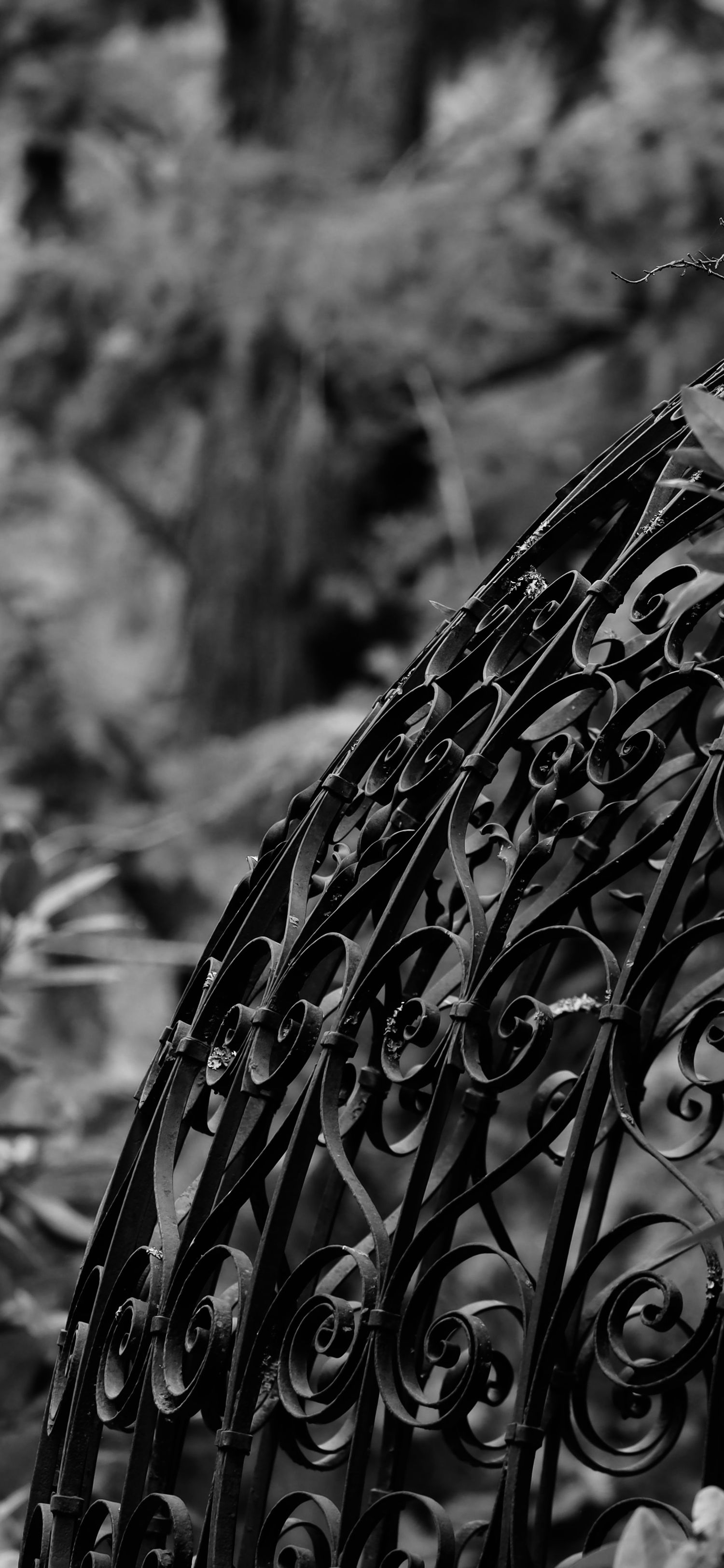 Close-up of intricate black wrought iron scrollwork in a curved architectural detail.