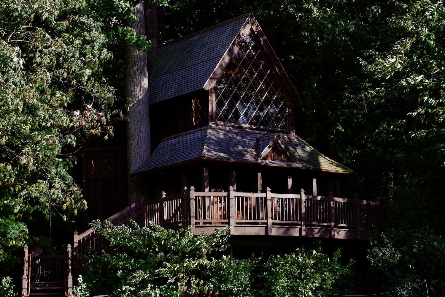 Rustic wooden treehouse with a wrap-around porch nestled among forest trees.
