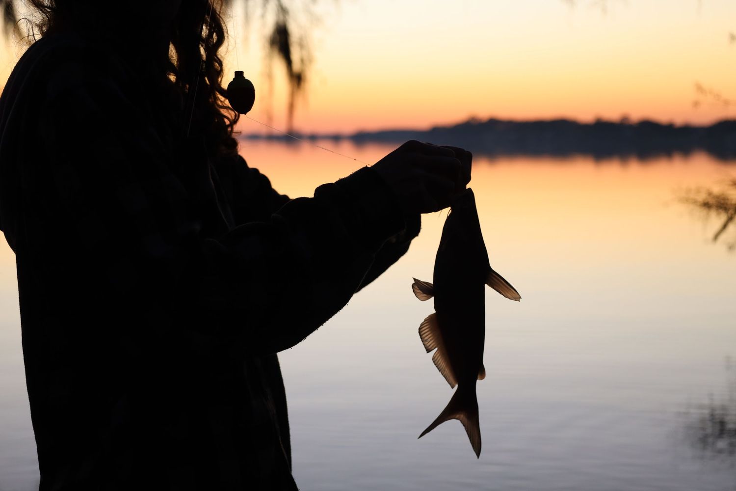 Silhouette of angler holding caught fish against sunset over calm water.
