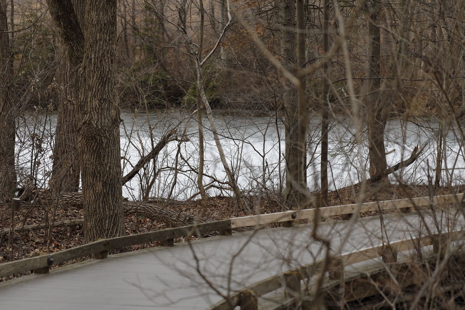 A snow-covered wooden boardwalk winds through bare winter trees along a frozen lake.