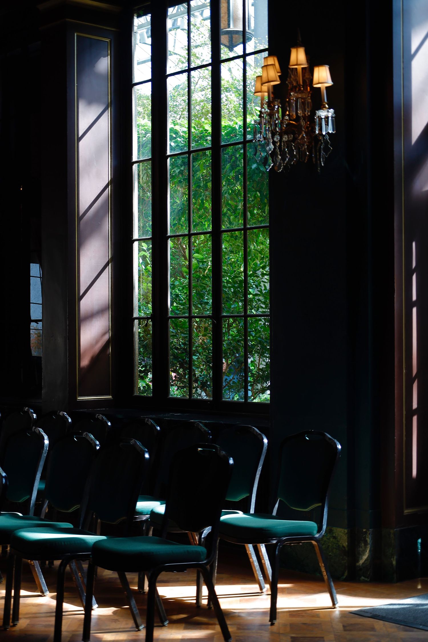 Elegant room interior with tall window, chandelier and green chairs casting dramatic shadows.