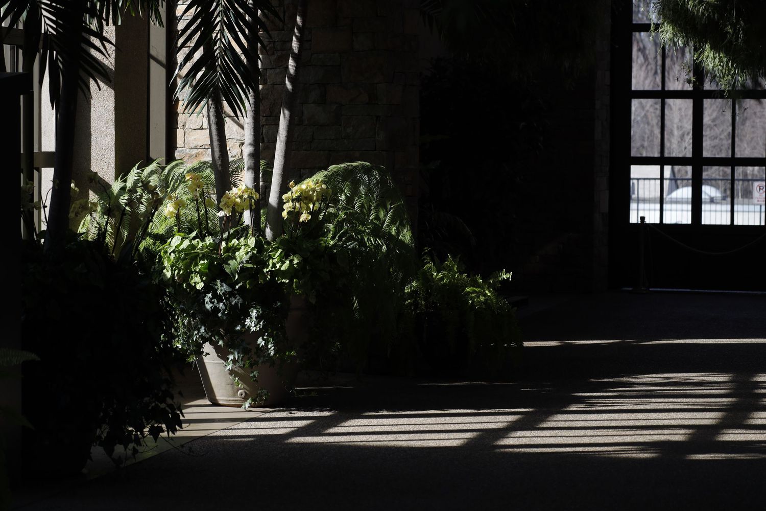 Dramatic shadows cast across a dark interior space with potted plants silhouetted against window light.