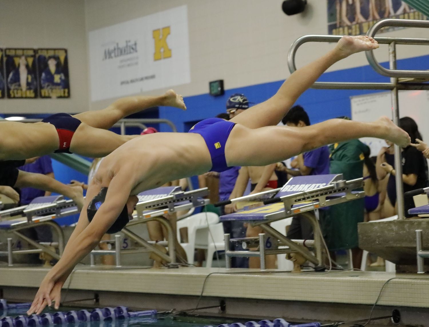 Competitive swimmers launch from starting blocks during a swimming race at an indoor pool with blue lanes.