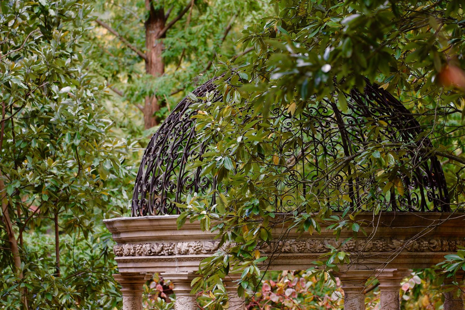 Decorative metal garden gazebo dome covered in climbing vines and greenery.