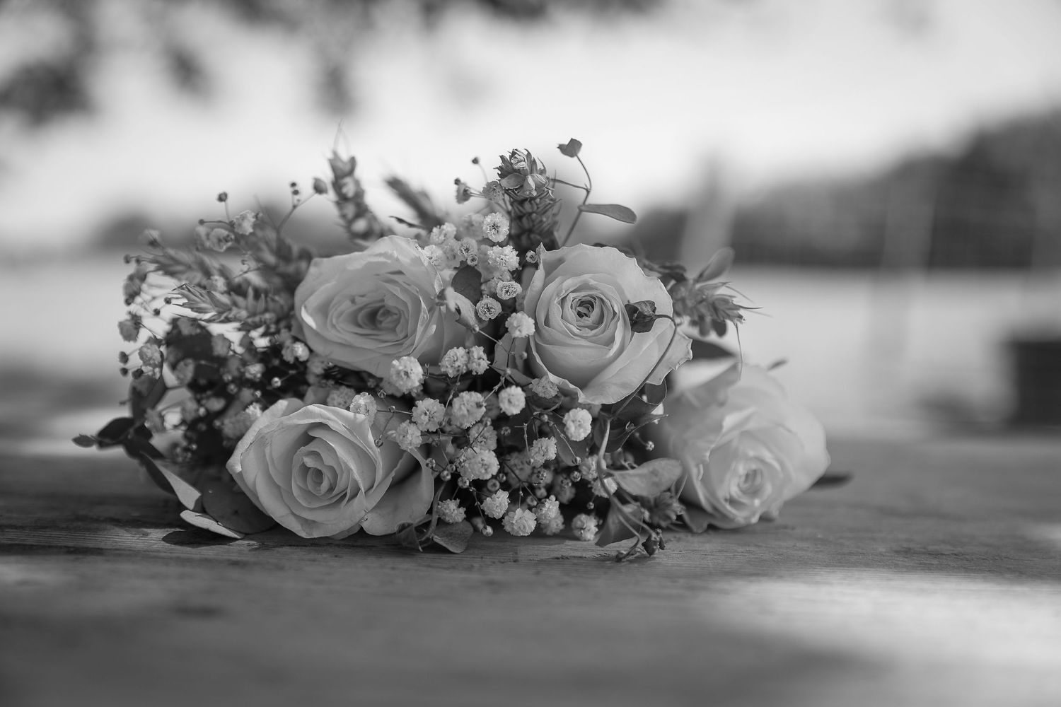 Photographe en Eure et Loir à Chartres, je vous accompagne pour capturer vos moments de vie, en famille, en couple ou lors de votre mariage