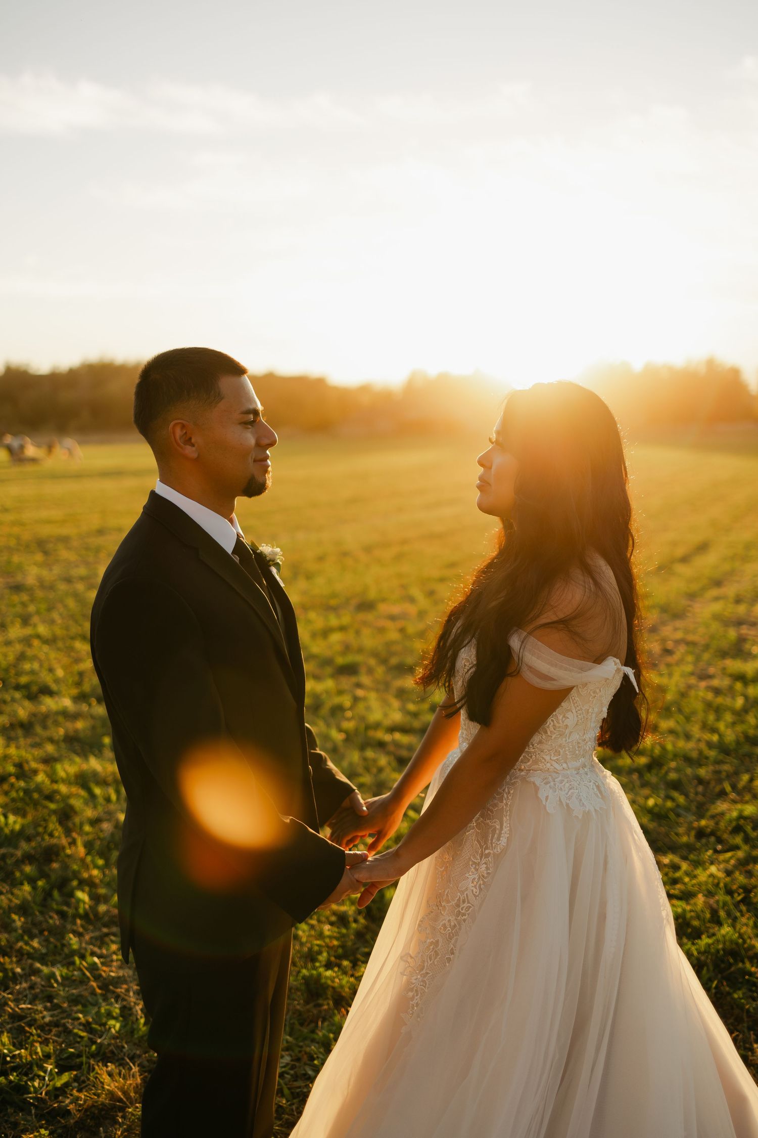 A romantic sunset photoshoot in a field with two figures silhouetted against the golden light.
