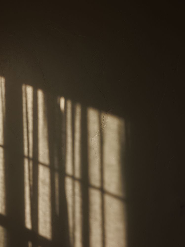Warm sunlight casting window frame shadows on a dark textured wall through sheer curtains.