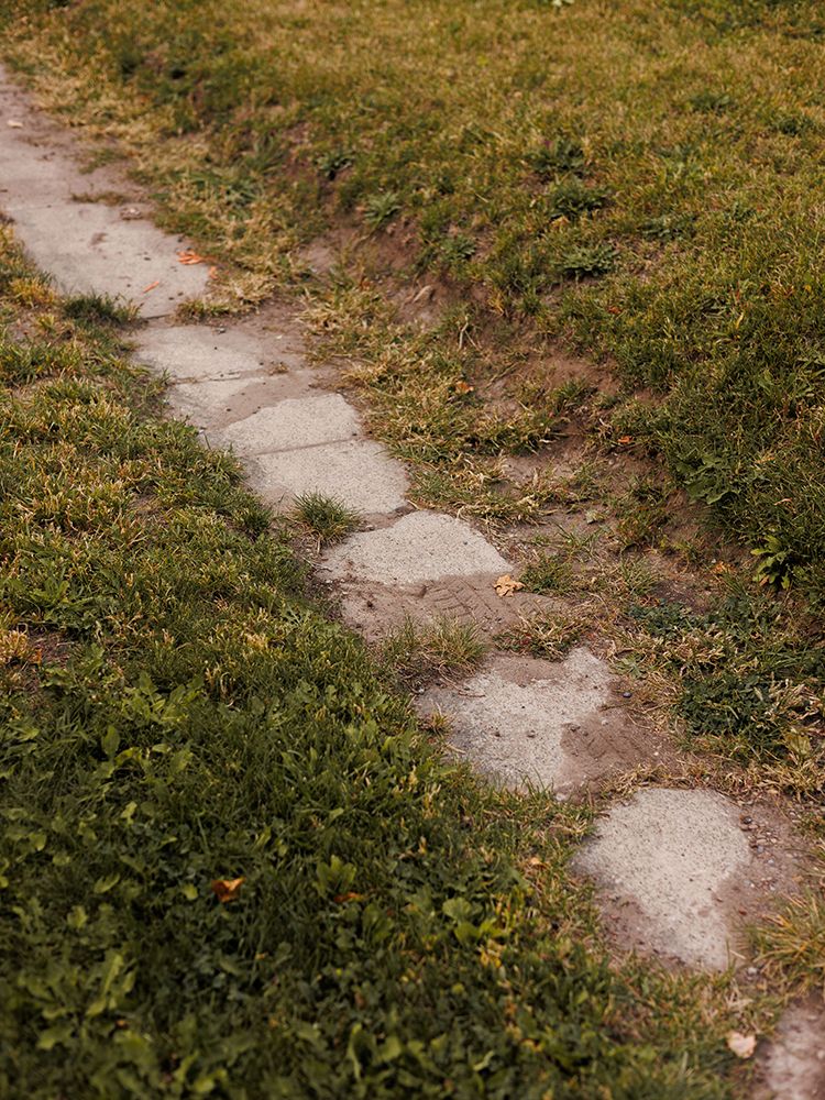 Rustic stone stepping path winding through green grass lawn in a garden setting.