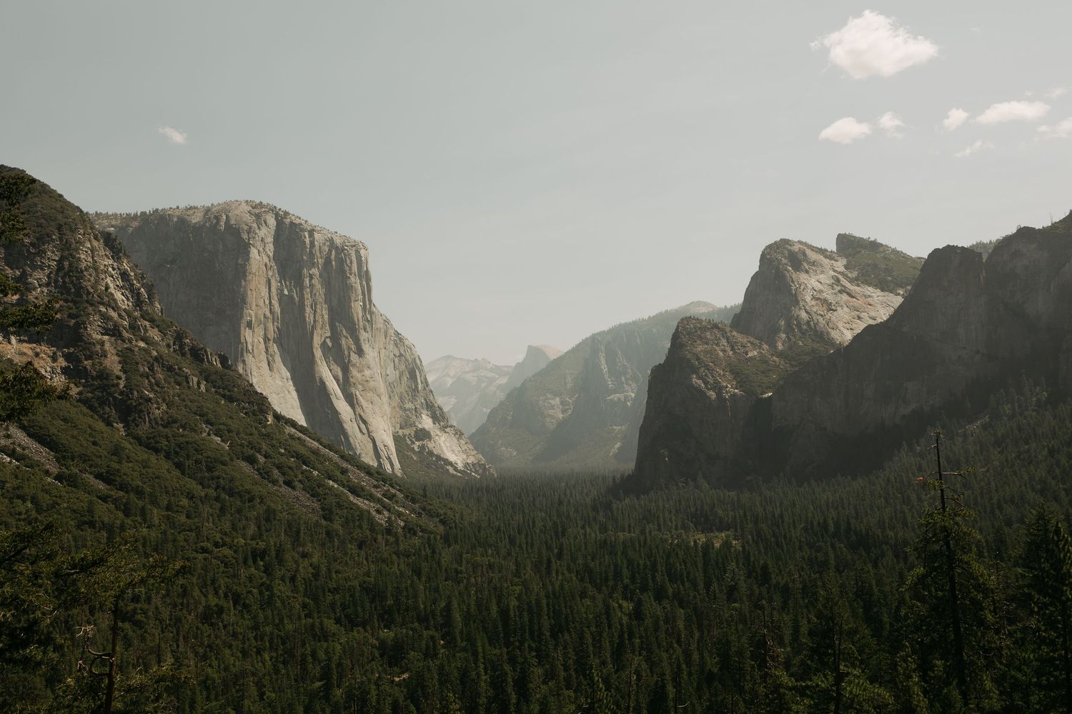 Panoramic view of Yosemite Valley with El Capitan, dense pine forests, and granite cliffs under a hazy sky.