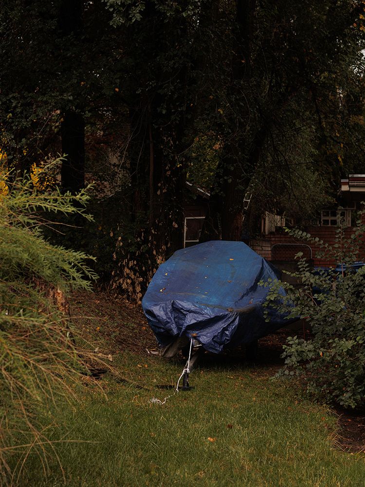 Blue tarp covering a boat stored in an overgrown backyard garden surrounded by dense trees.