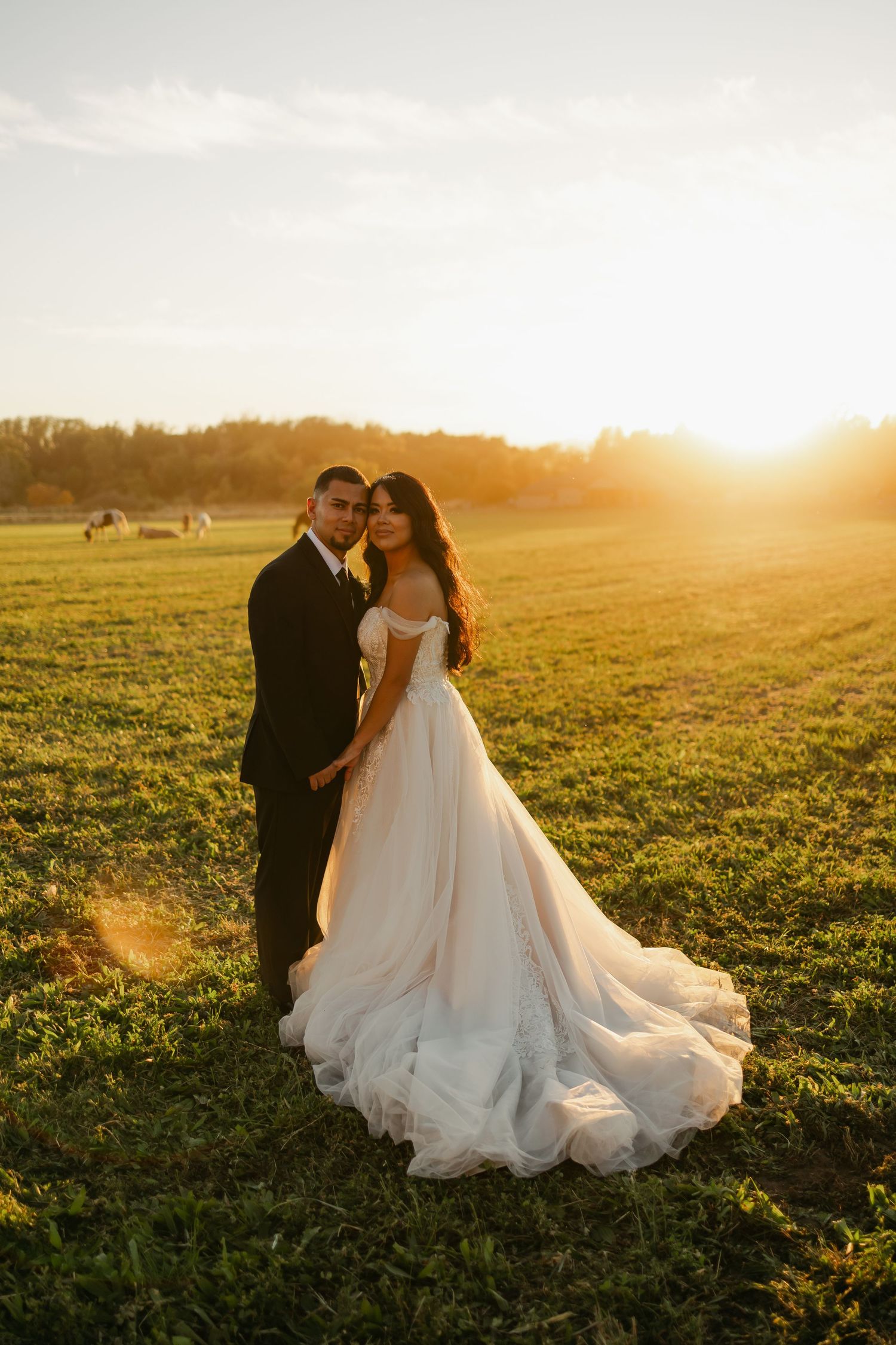Wedding couple embracing in golden sunset light across green field.