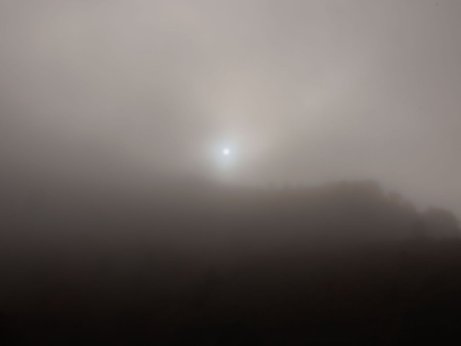 Mysterious foggy landscape with glowing sun breaking through dense mist over dark silhouetted trees.