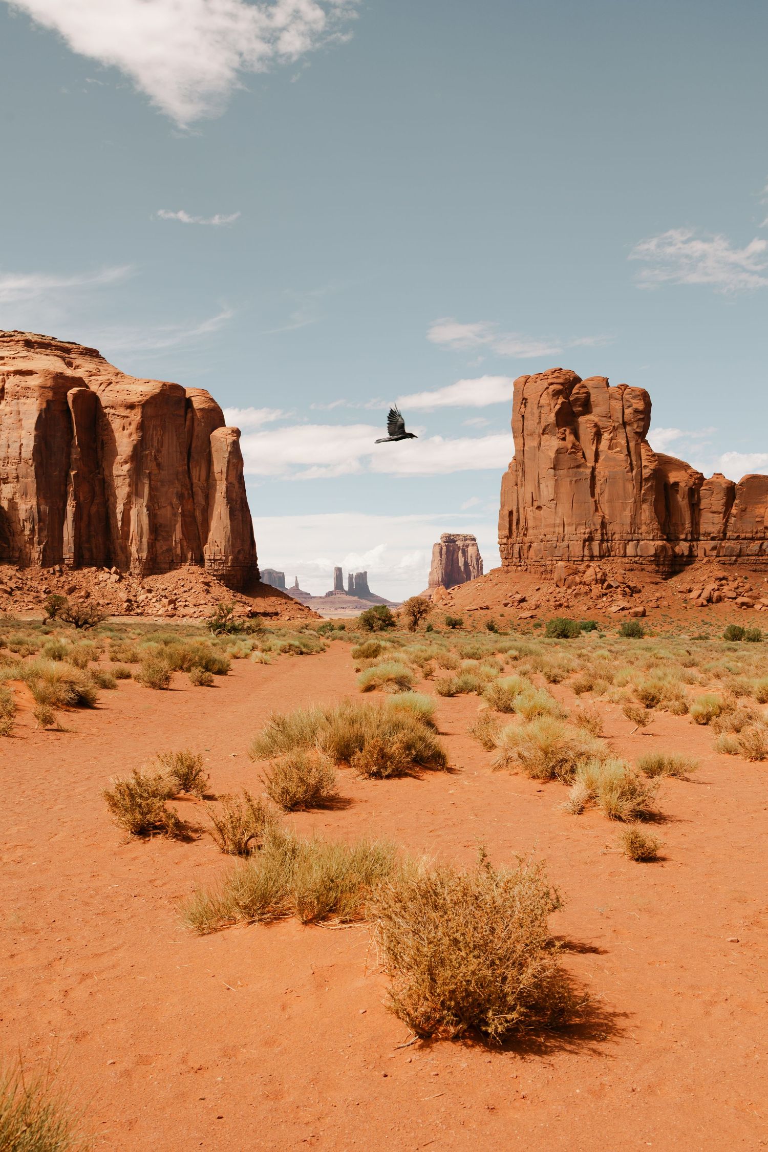A bird soars over Monument Valley's red sandstone buttes and desert scrub under a partly cloudy blue sky.