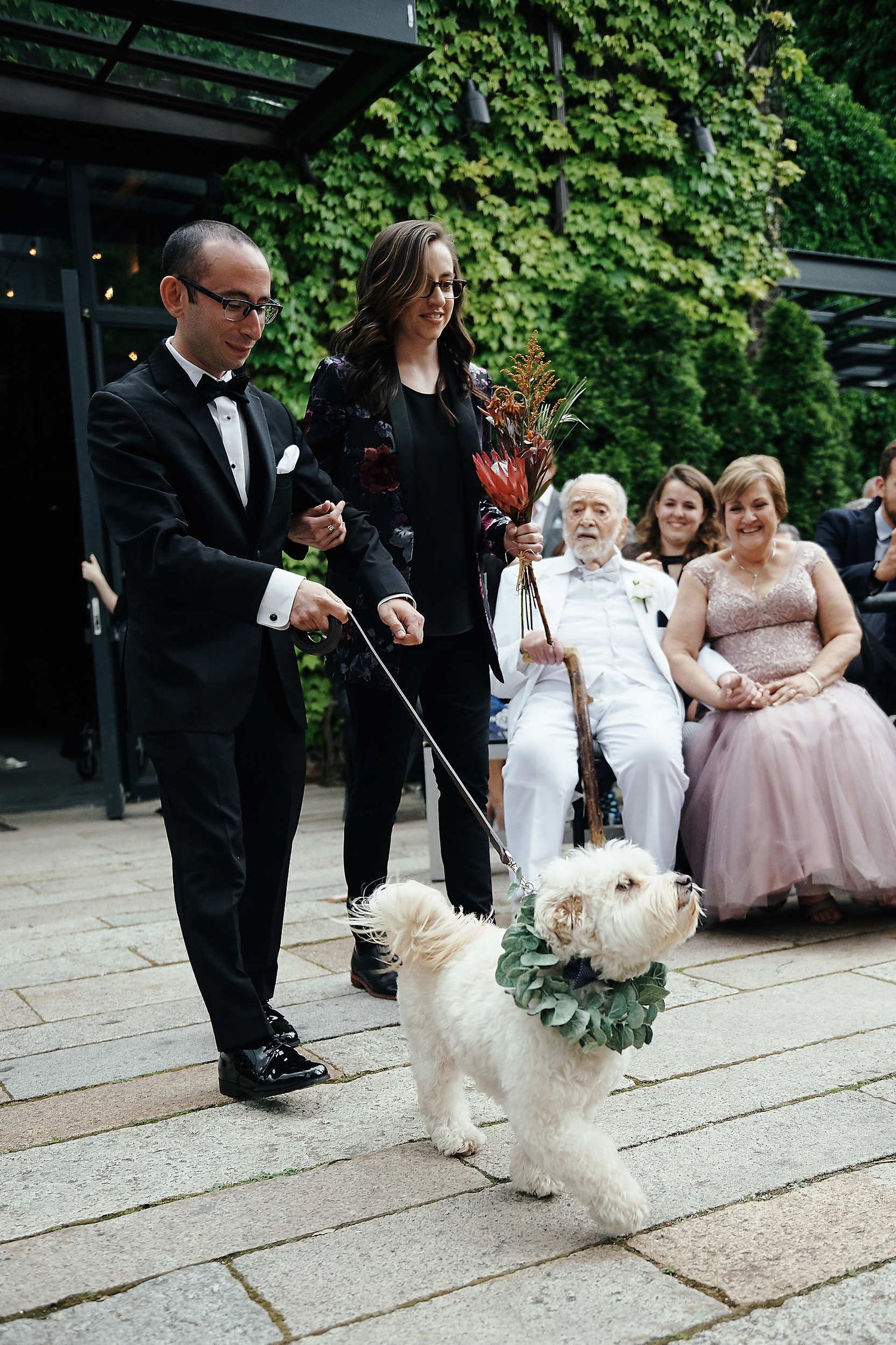 A small white dog wearing a leafy green collar is walked down a stone path at an outdoor event.