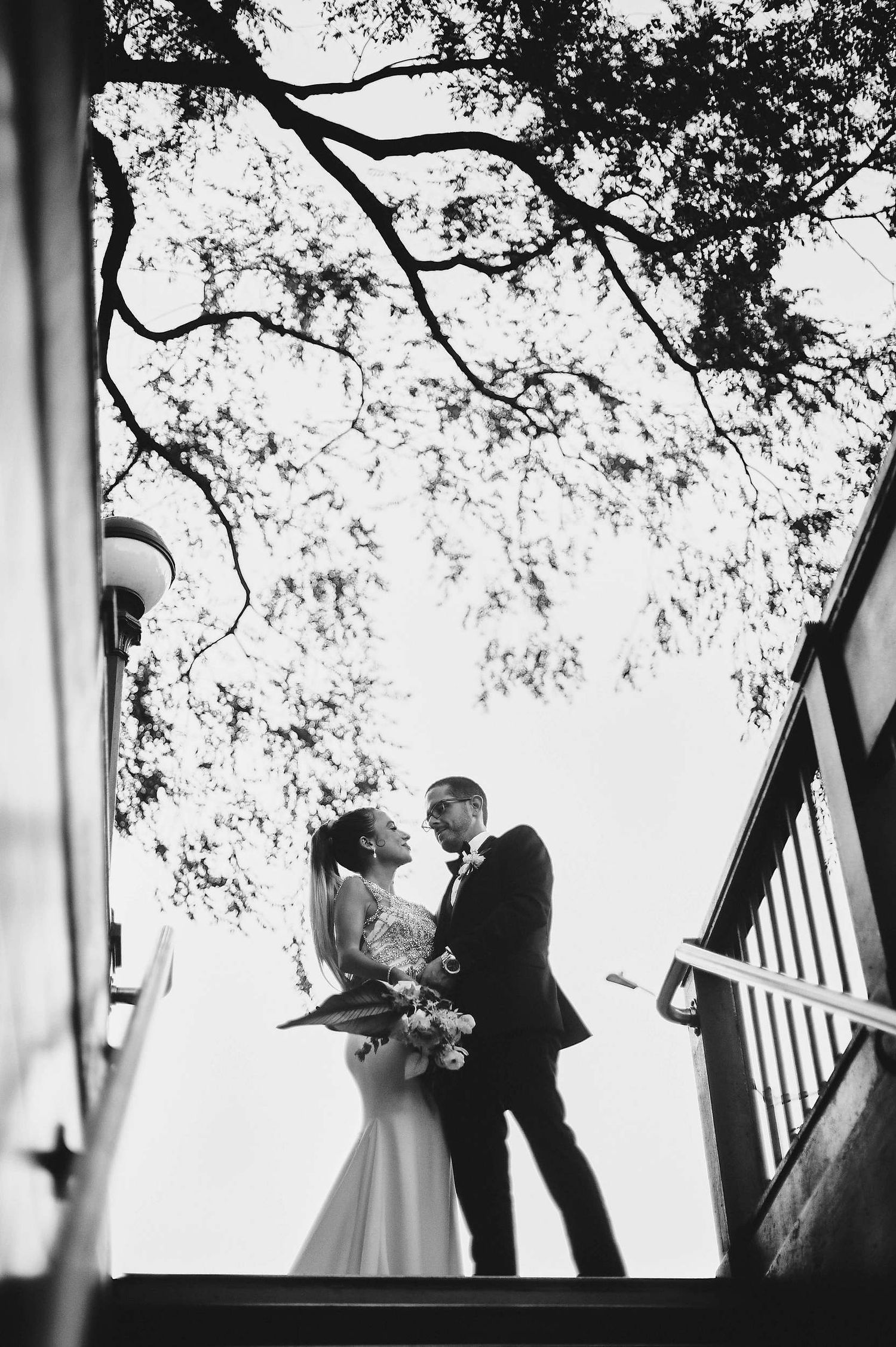 A black and white wedding photo silhouette on stairs with trees and sky in the background.