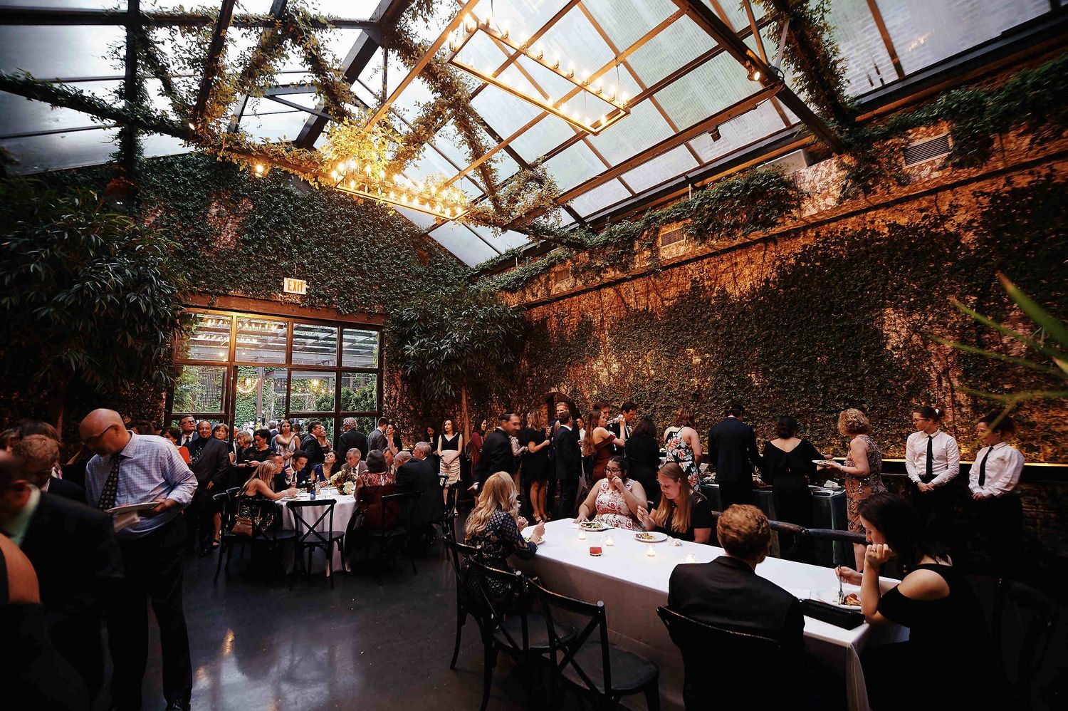 Wedding reception guests gather in a rustic greenhouse venue with ivy-covered walls and natural light streaming through glass ceiling.