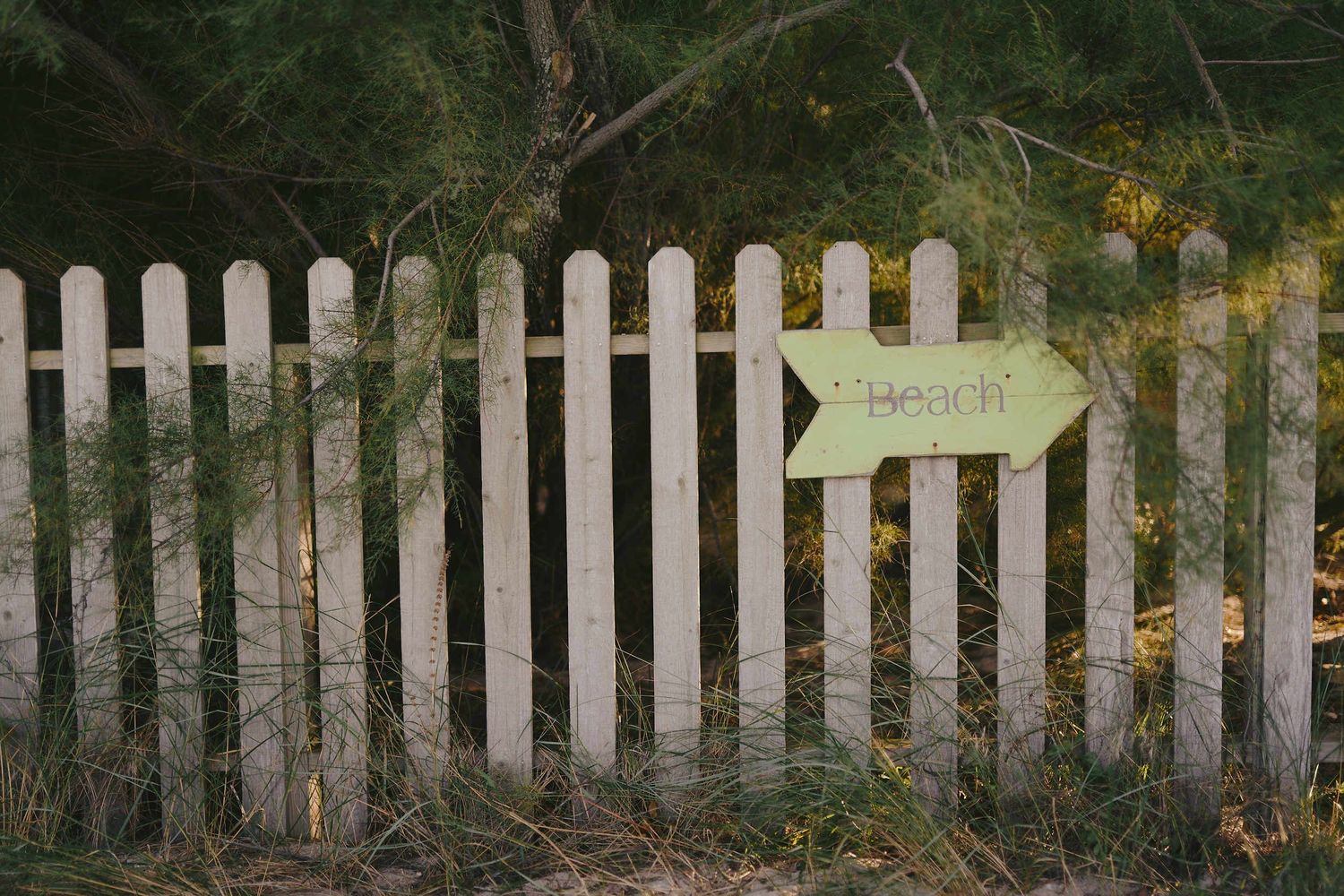 A white picket fence with a rustic arrow directional sign features delicate foliage and greenery in the background.