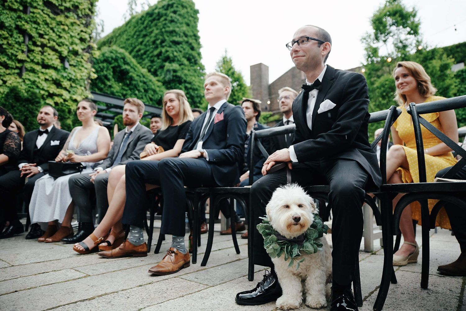 Wedding guests seated outdoors with a fluffy white dog at an elegant garden ceremony.