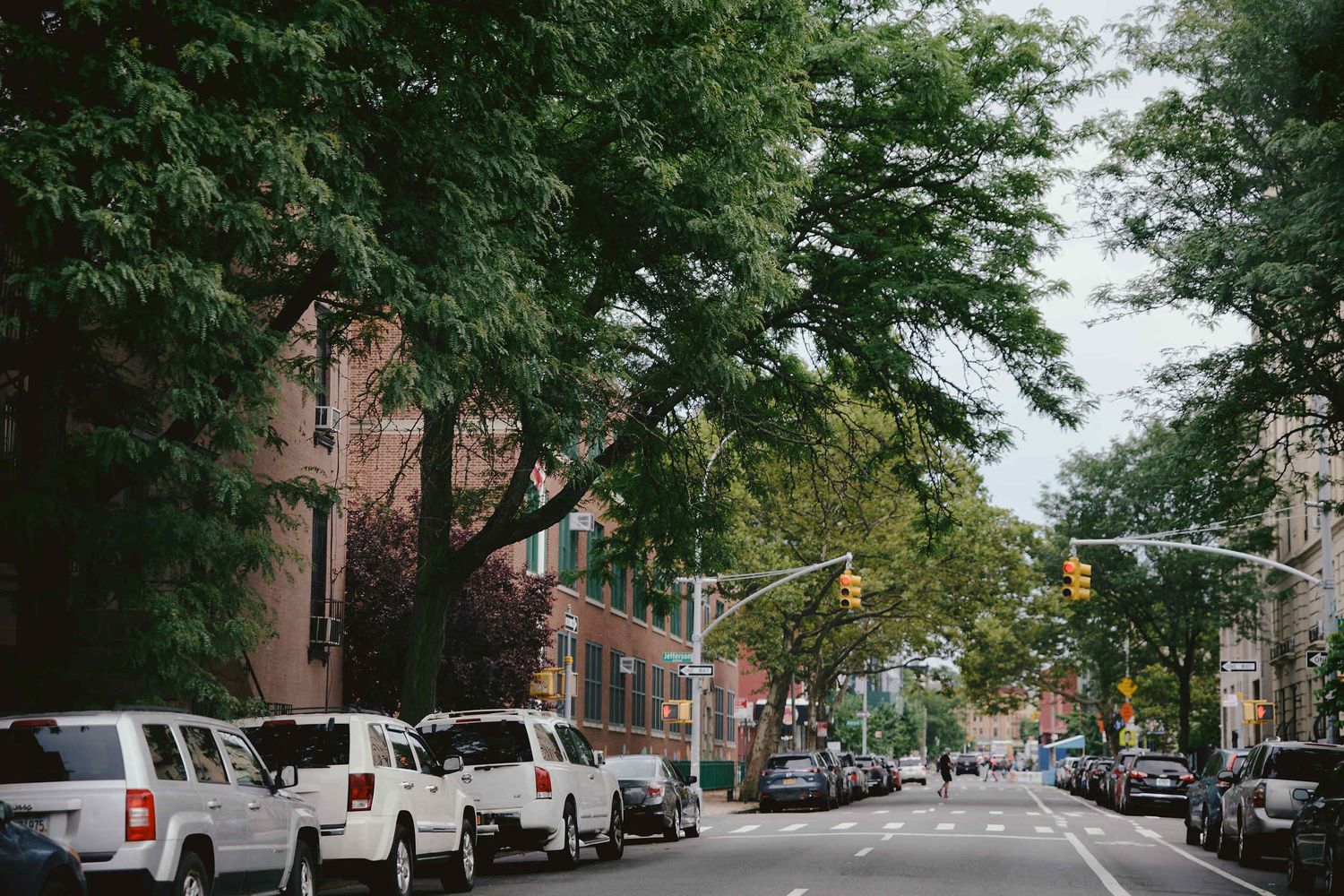 Tree-lined urban street in summer with parked white vans and cars along a residential neighborhood.