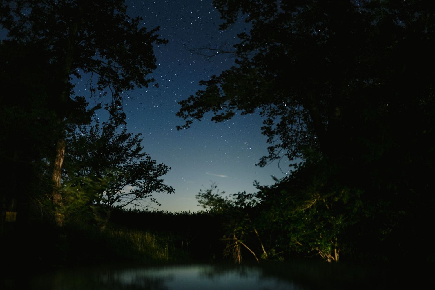 A serene lake at night reflects the dark silhouettes of trees against a deep blue evening sky.