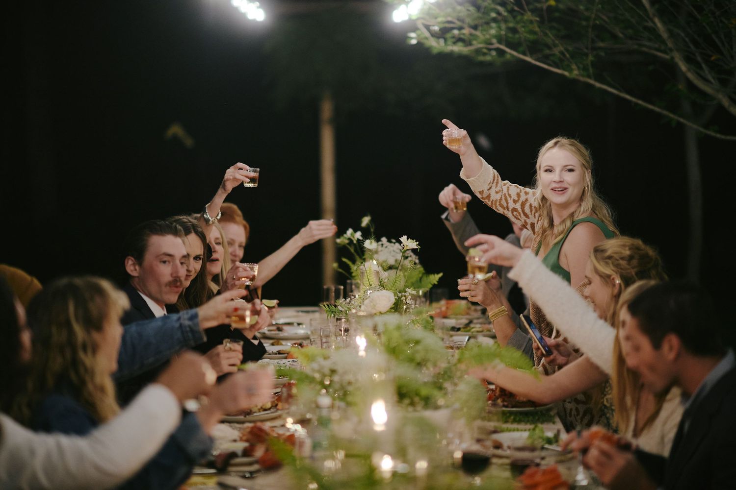 People raise their glasses in celebration at a rustic outdoor dinner party illuminated by string lights.