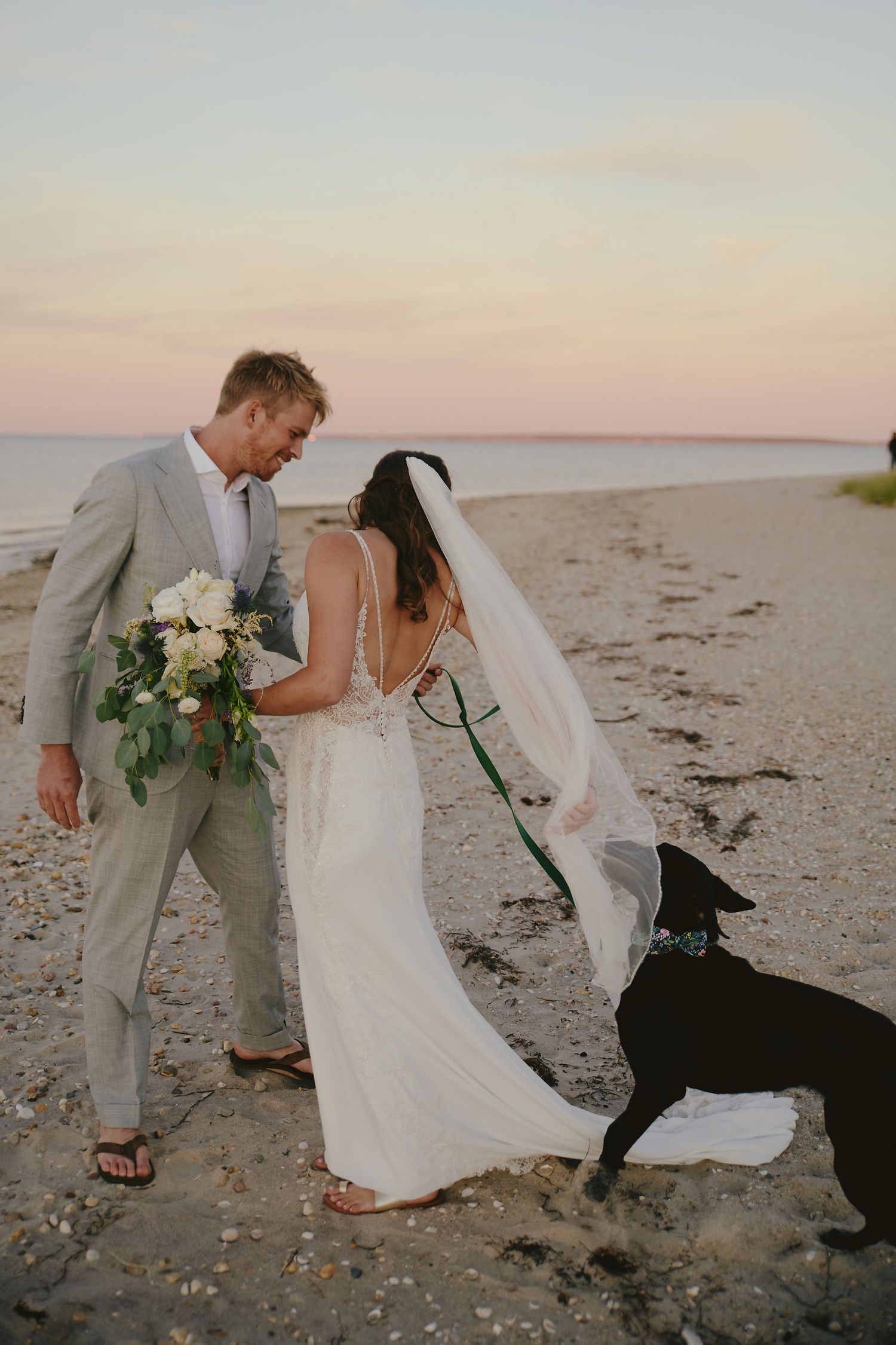 Newlyweds stand on a beach at sunset with a black dog as the bride's veil flows in the wind.
