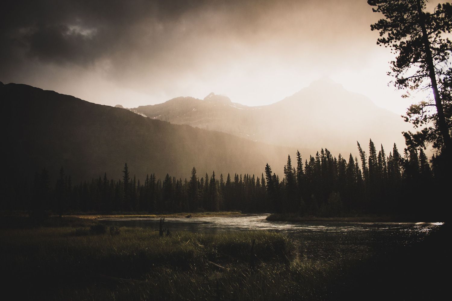 Moody sunset silhouettes pine trees along a misty mountain lake.