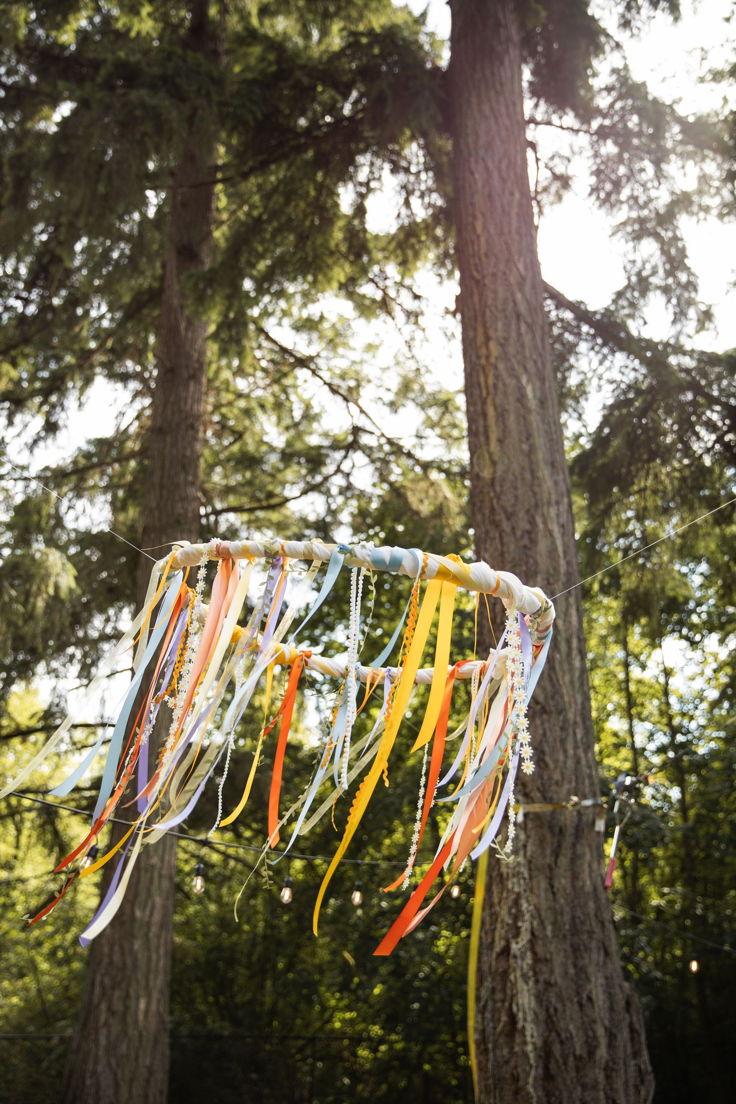 Colorful ribbons and streamers hang between trees in a sunlit forest creating a festive outdoor decoration.