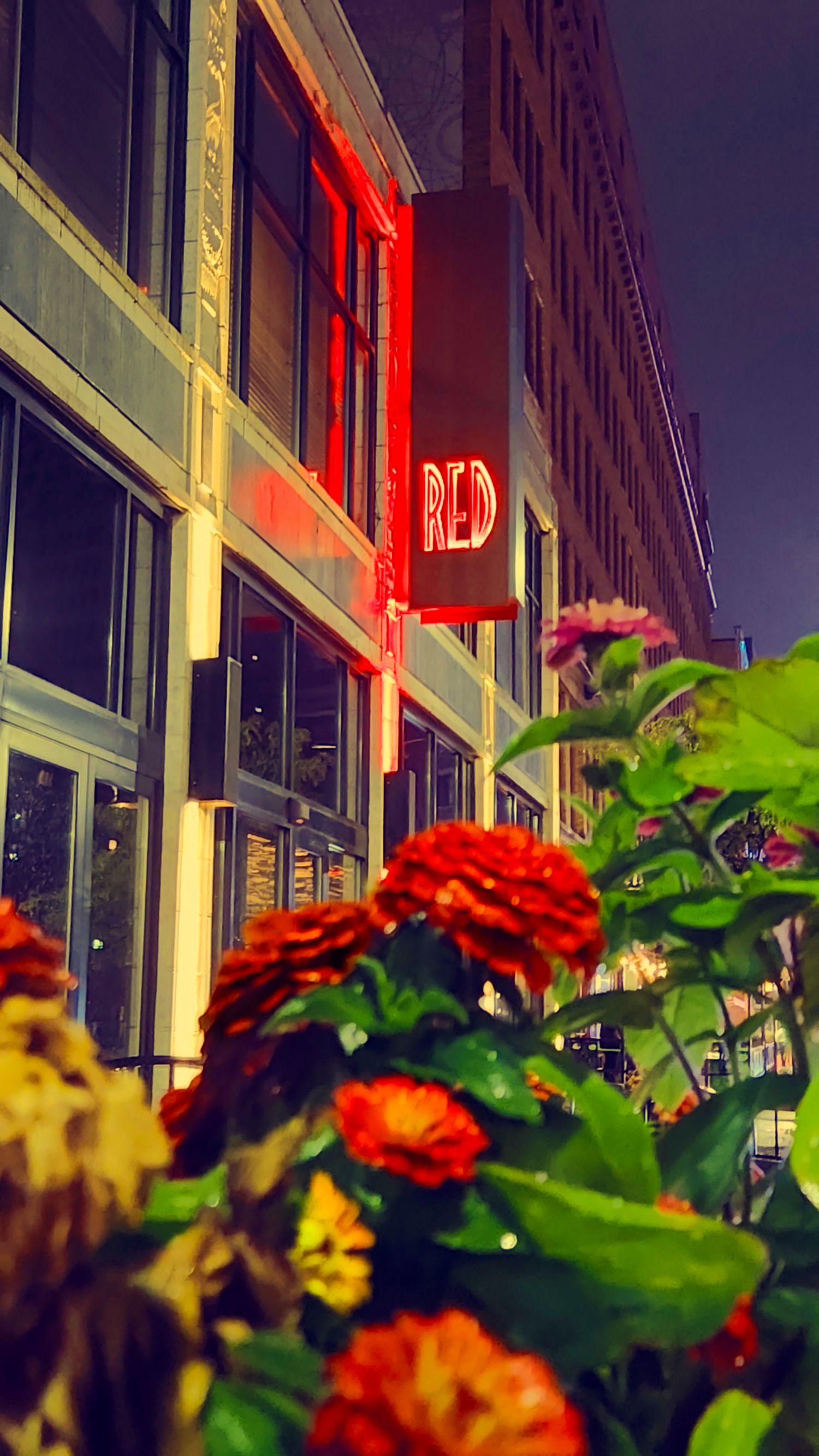 Night time photo in the city