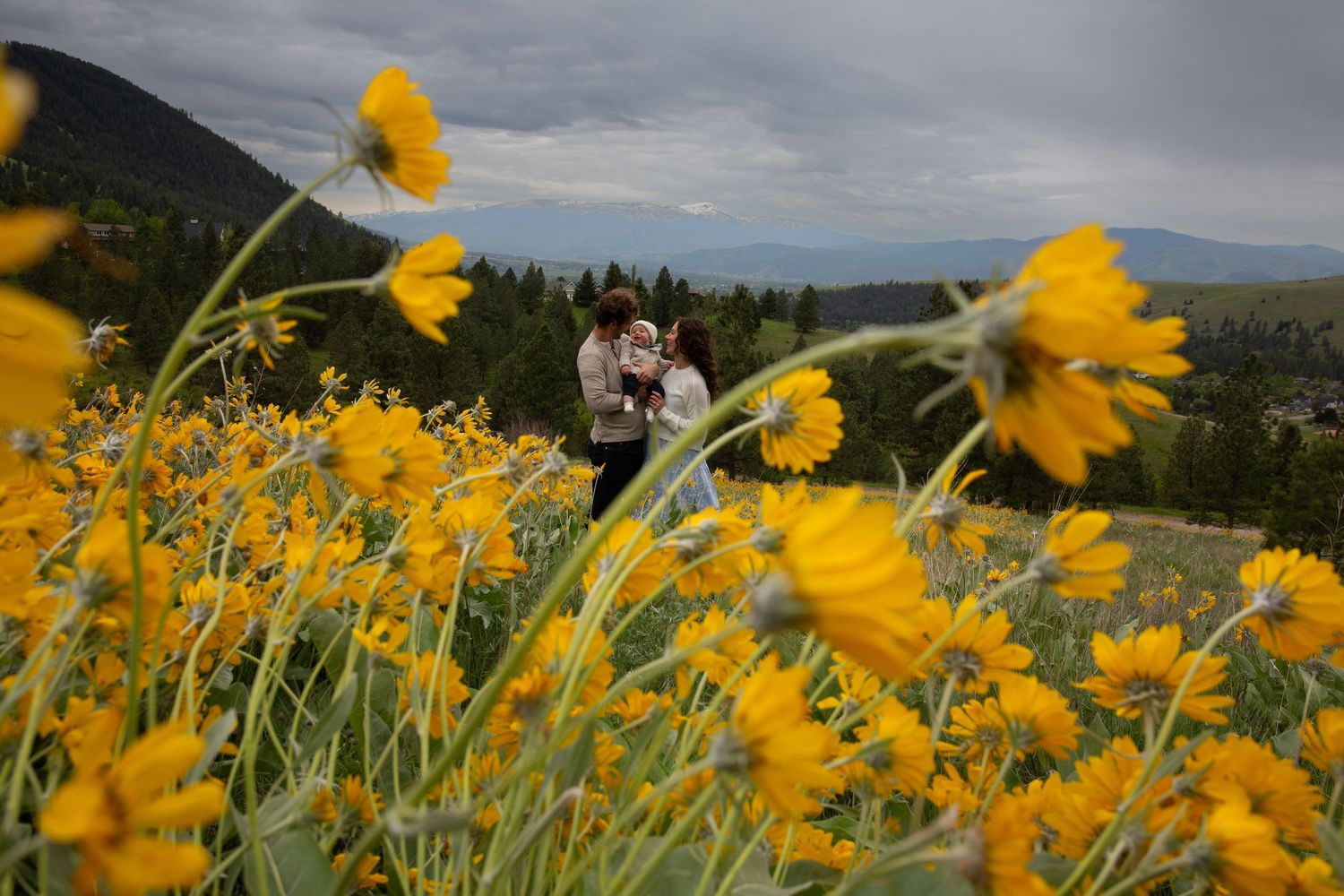 Missoula, Mt Family Portrait with wildflowers
Kayla Sproles Photography 2025