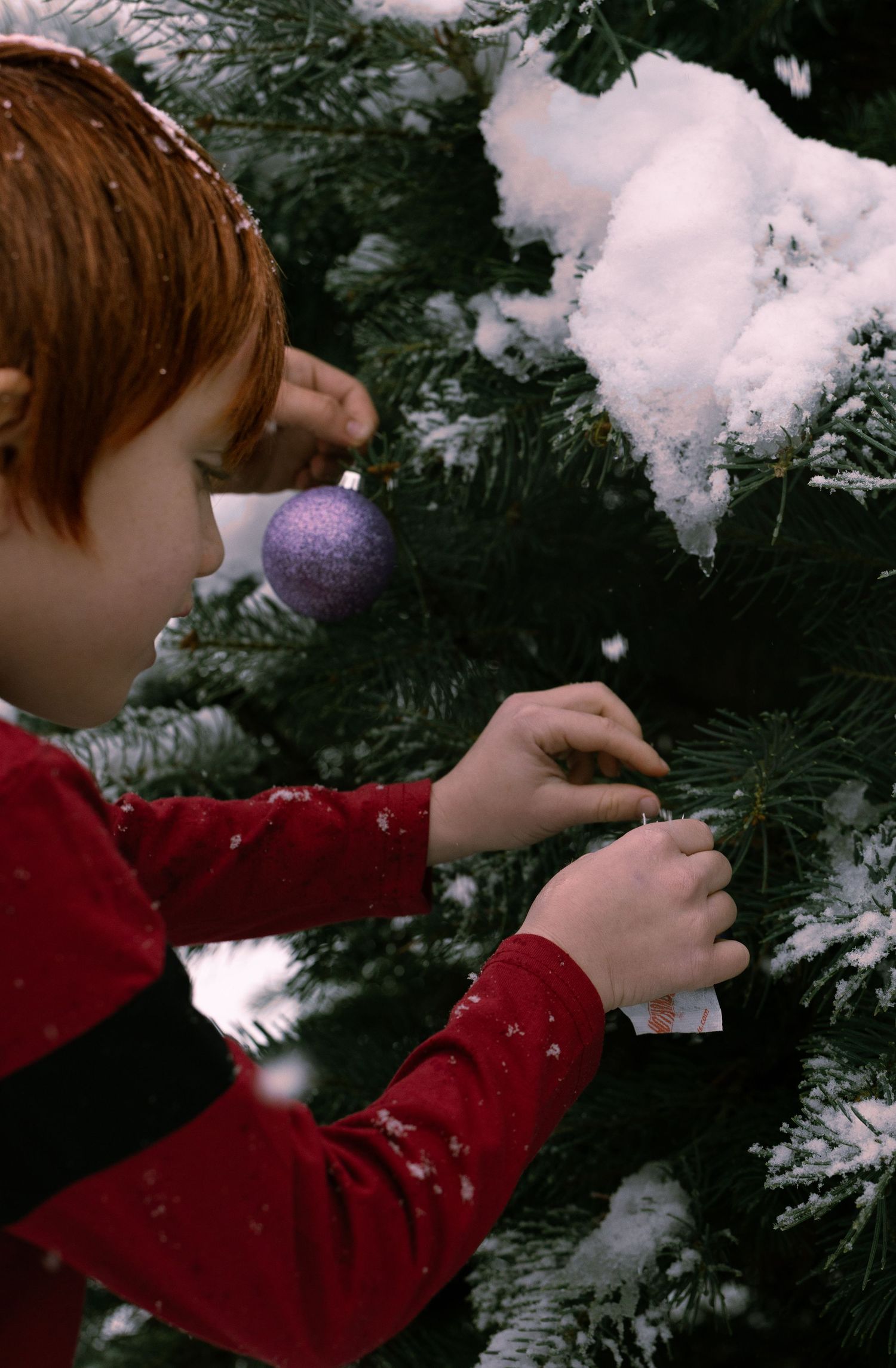Missoula, Mt family portrait while decorating Christmas Tree
Kayla Sproles Photography 2025
