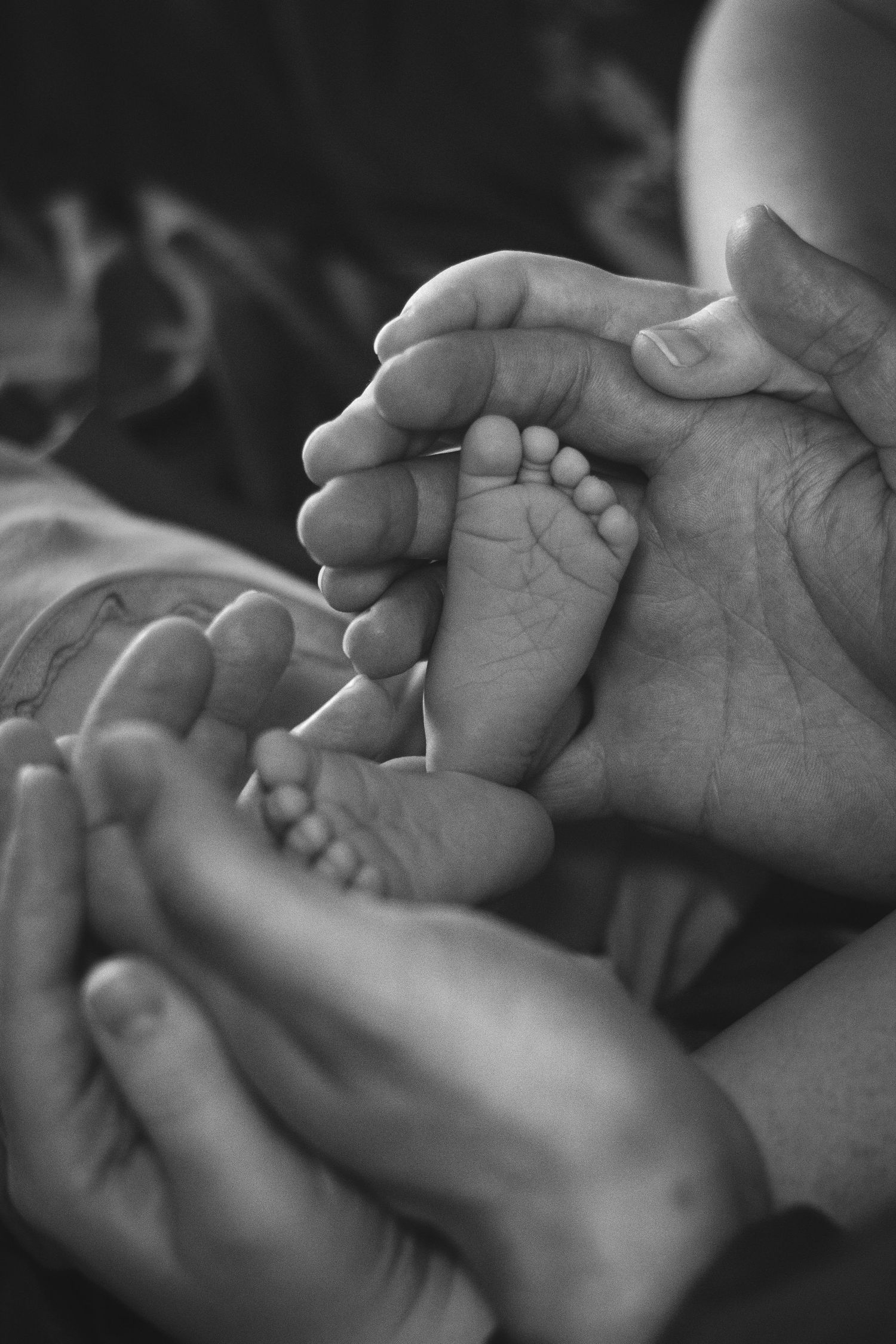 Missoula, Mt Newborn Portrait, in-home black and white
Kayla Sproles Photography 2025