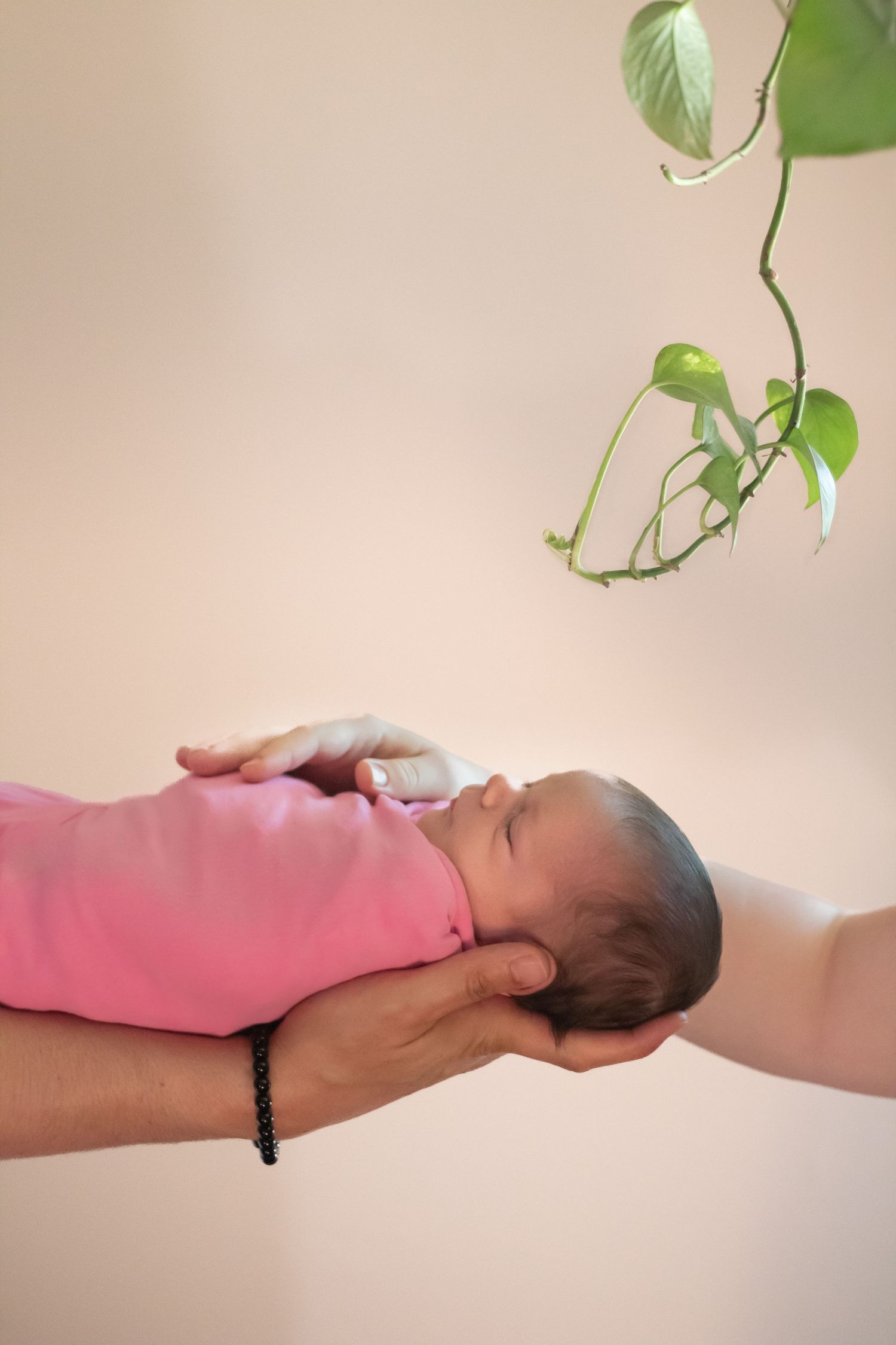 Missoula, Mt Newborn Portrait, in-home
Kayla Sproles Photography 2025