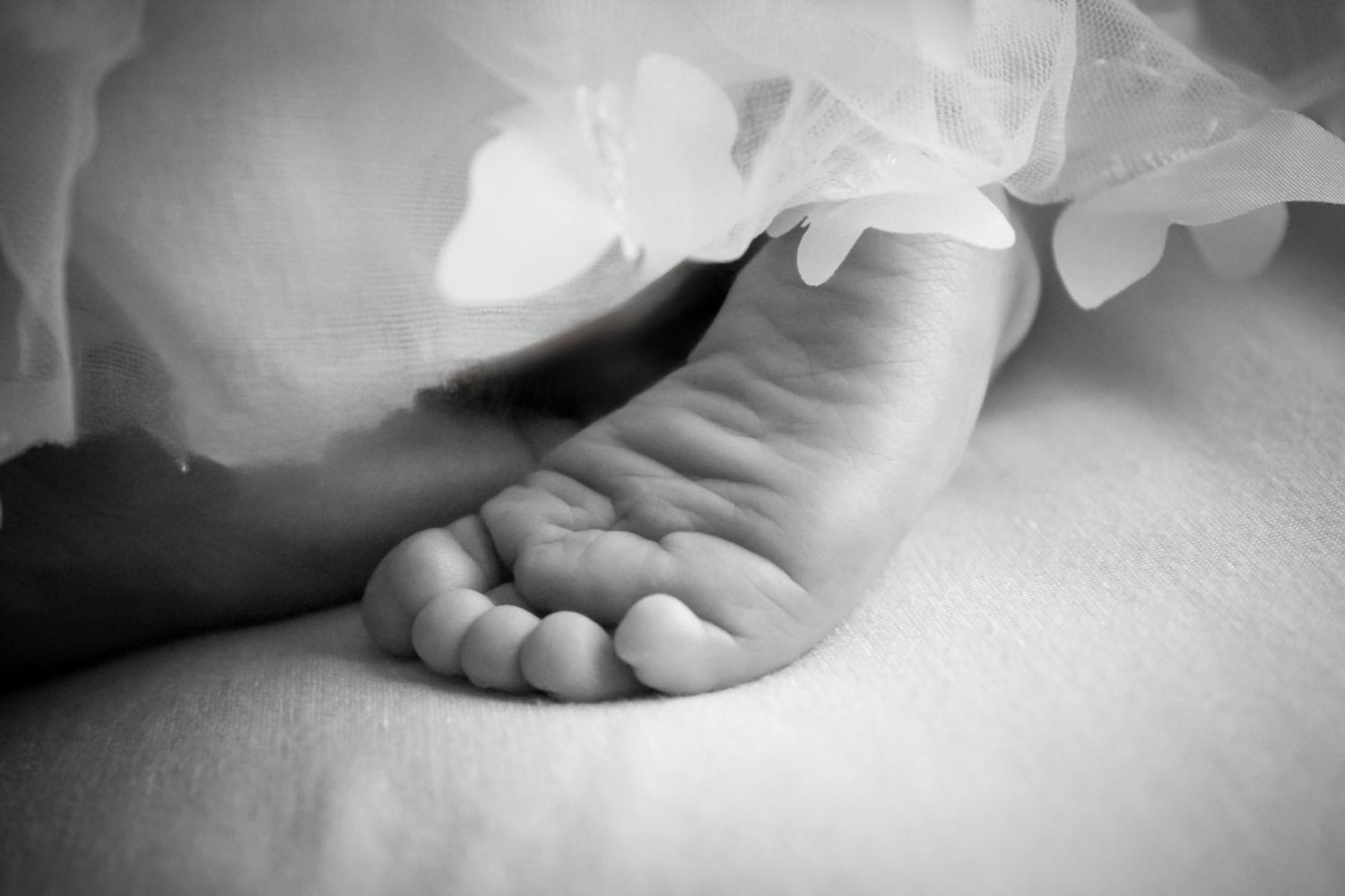 Missoula, Mt Newborn Portrait, in-home black and white
Kayla Sproles Photography 2024