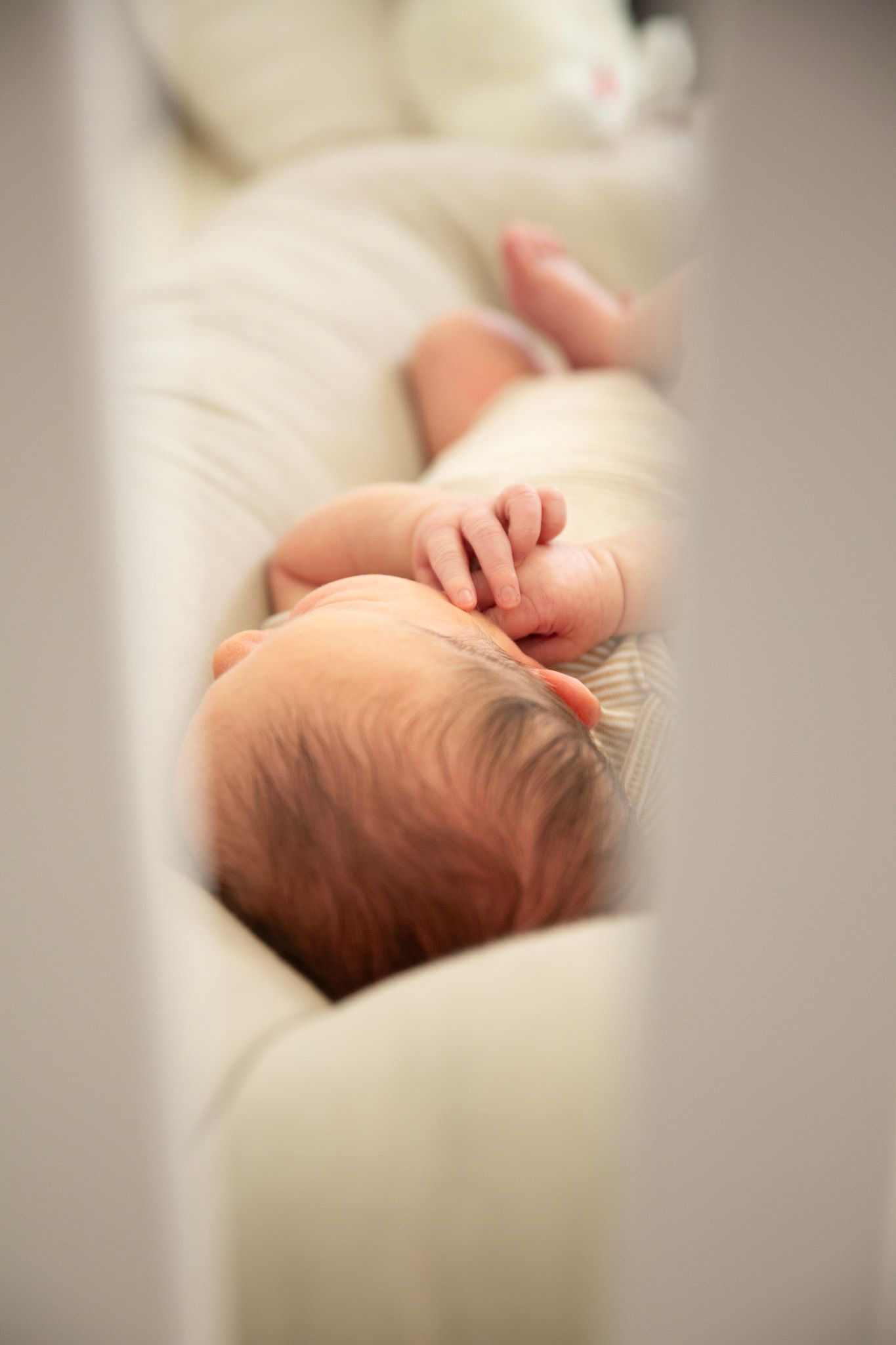 Missoula, Mt Newborn Portrait, in-home
Kayla Sproles Photography 2025