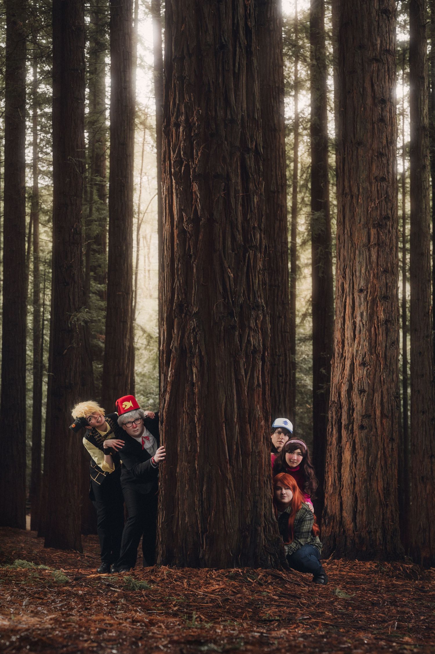 People playing hide and seek among tall redwood trees in forest setting.