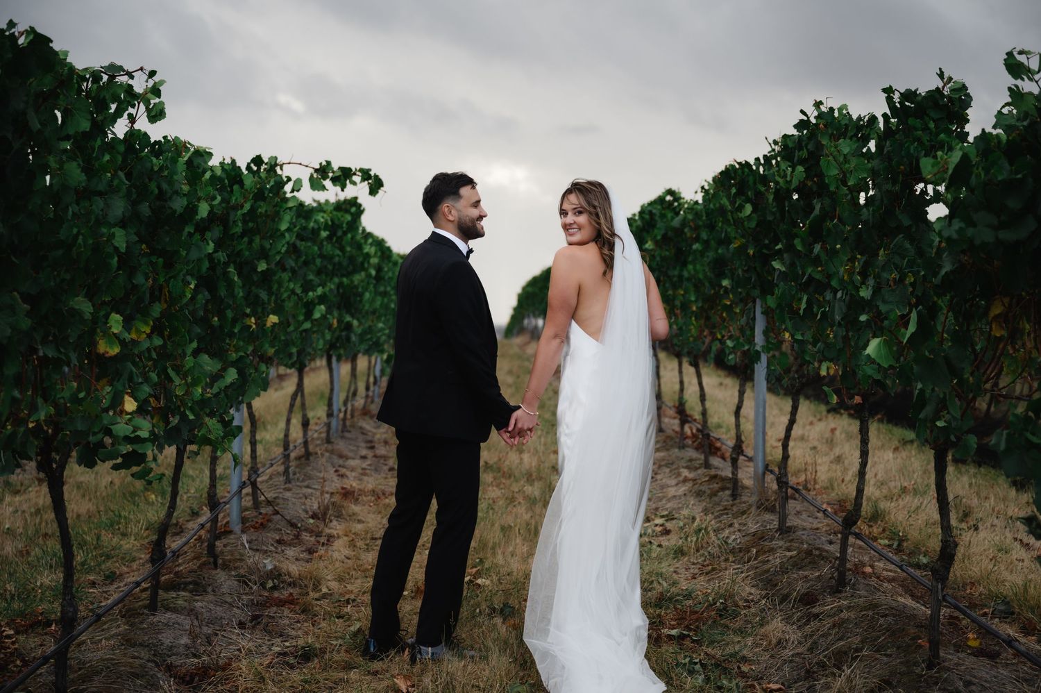 Wedding couple walks through scenic vineyard rows under overcast sky.