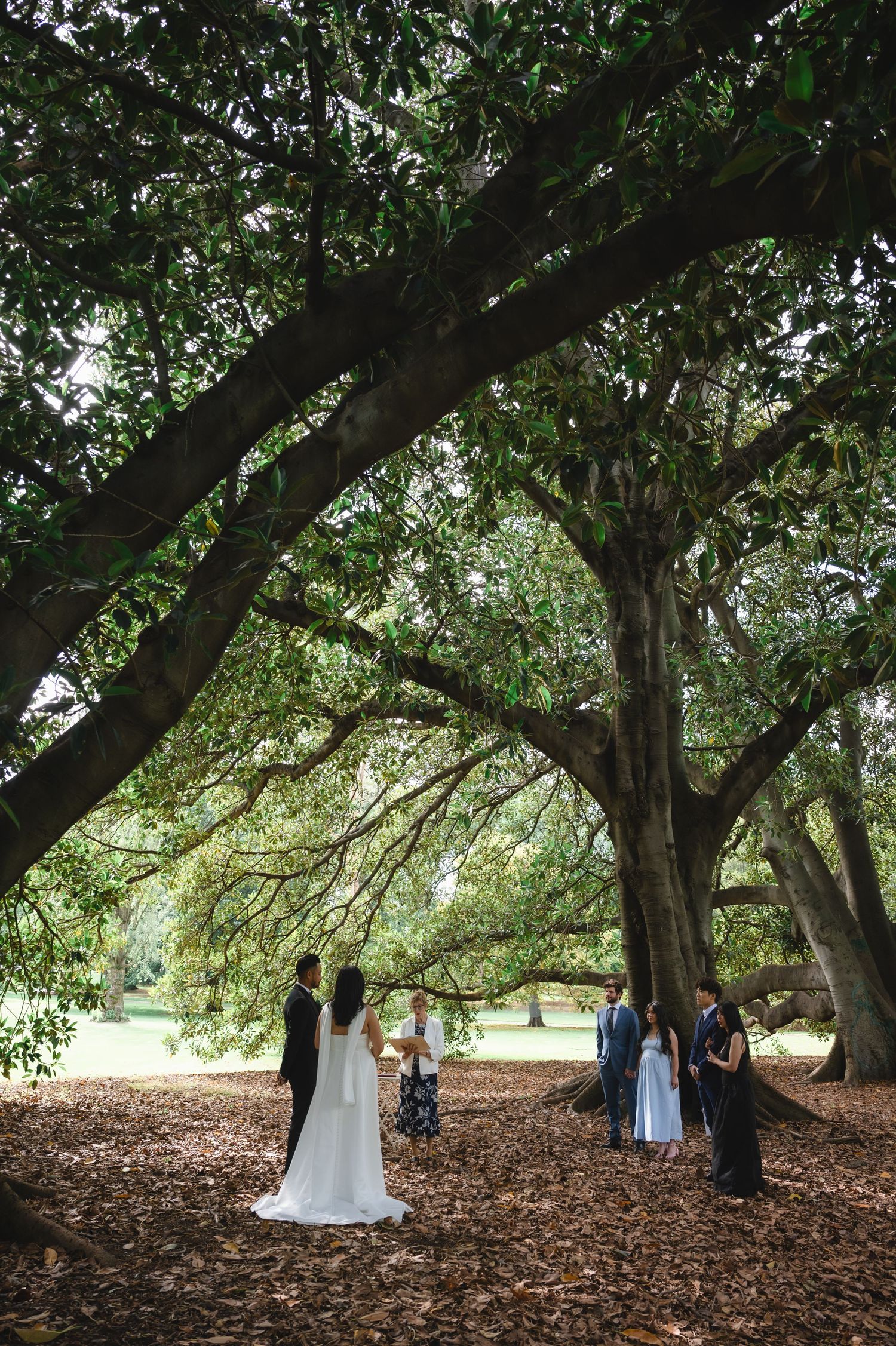 Intimate outdoor wedding ceremony under sprawling ancient trees with couple and small group of guests on leaf-covered ground.