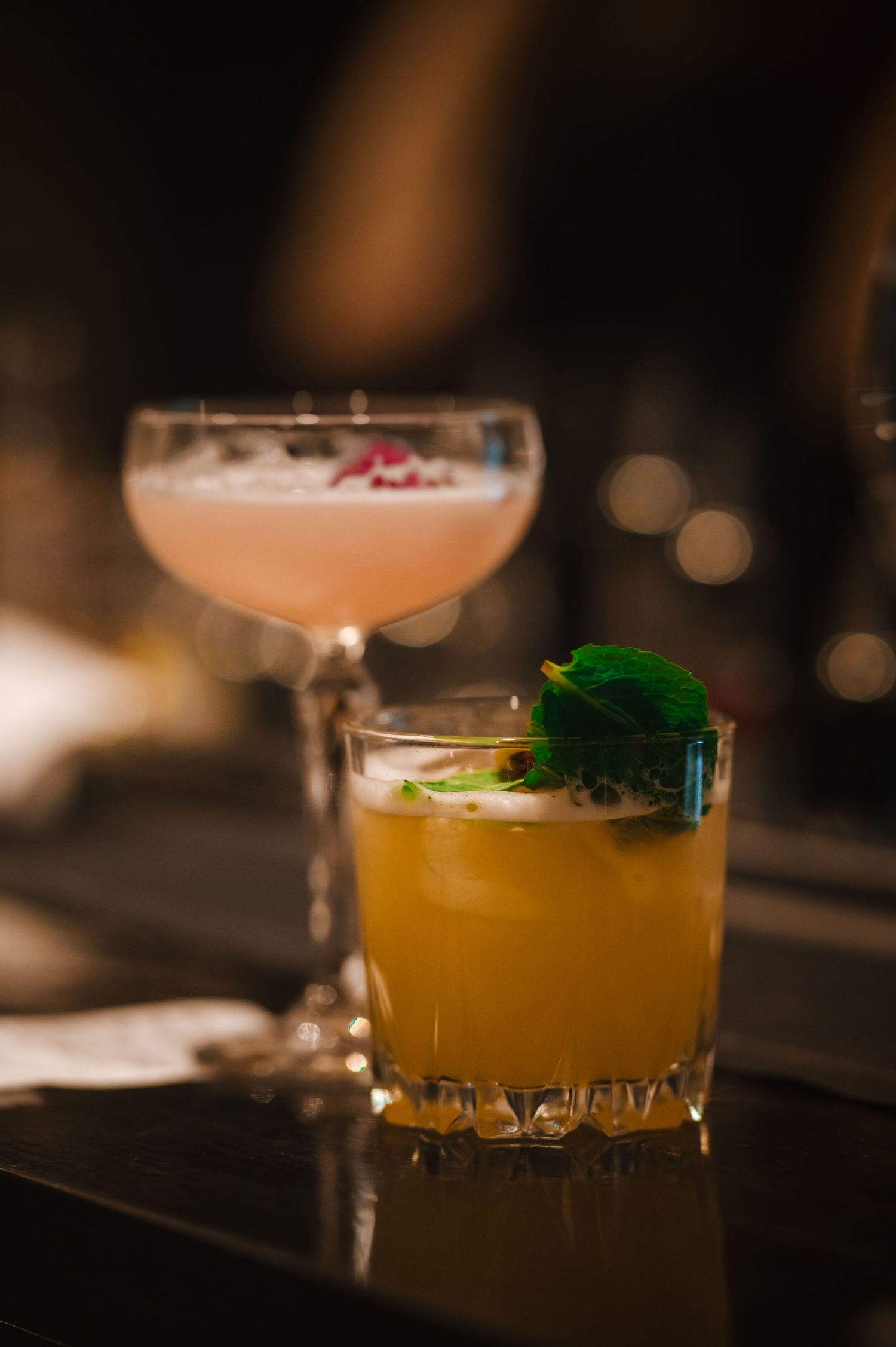 Artfully crafted cocktails garnished with fresh herbs in elegant glassware.