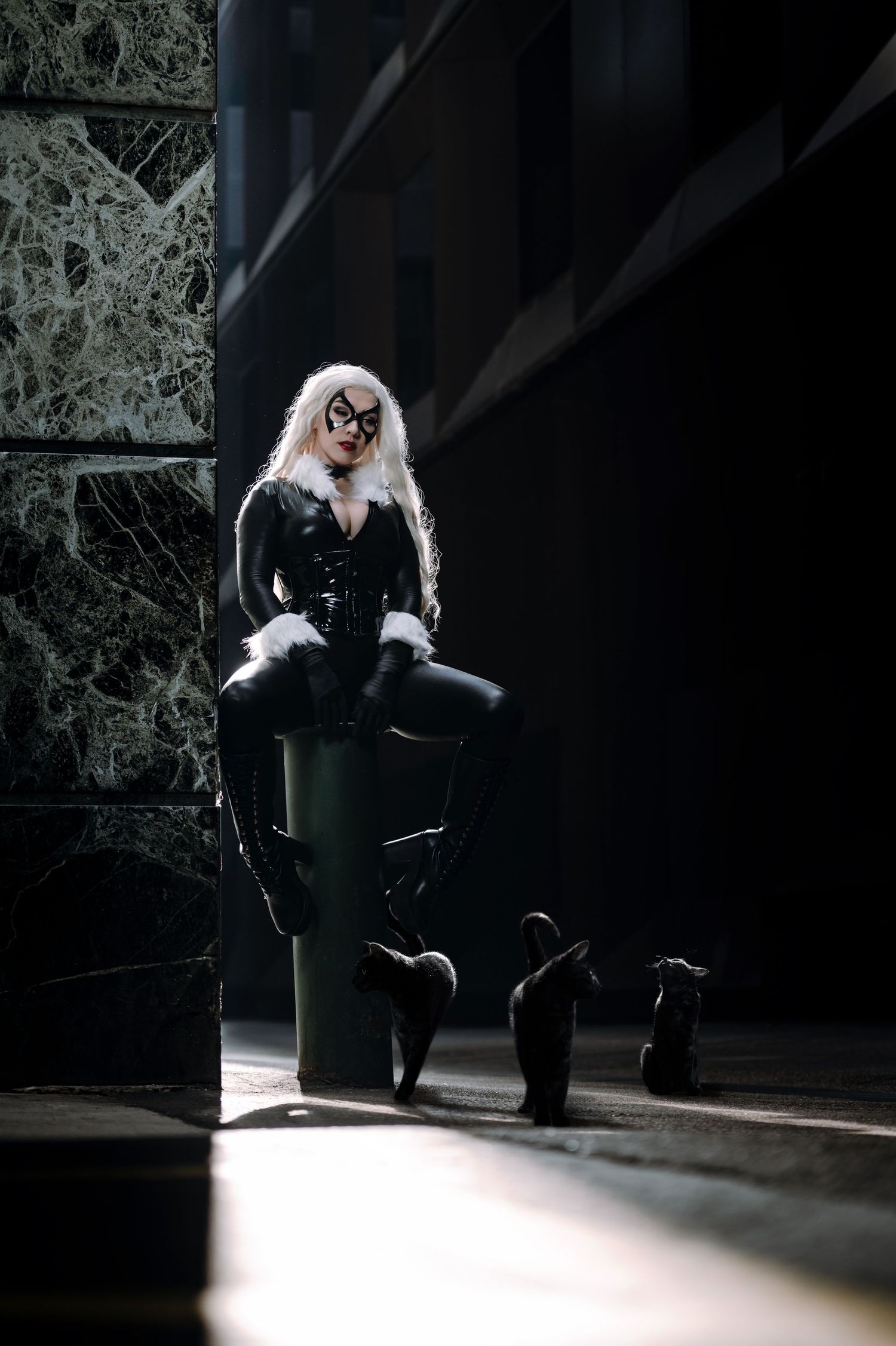 A dramatic cosplay photoshoot in a dark setting with a figure in black leather and white hair posing with cats.