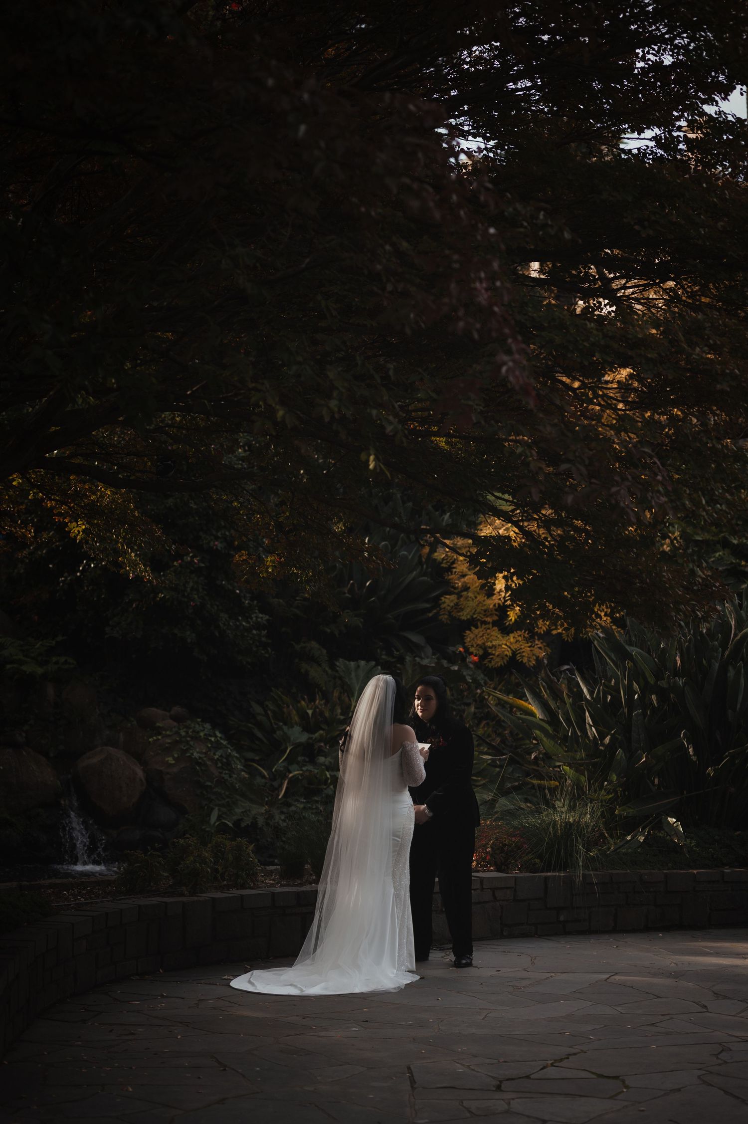Silhouetted wedding couple standing in a dark garden setting with dramatic lighting.
