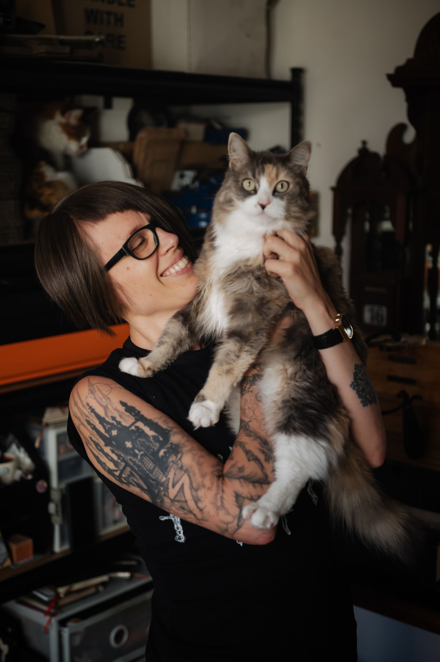 Candid moments with a fluffy grey and white cat indoors.